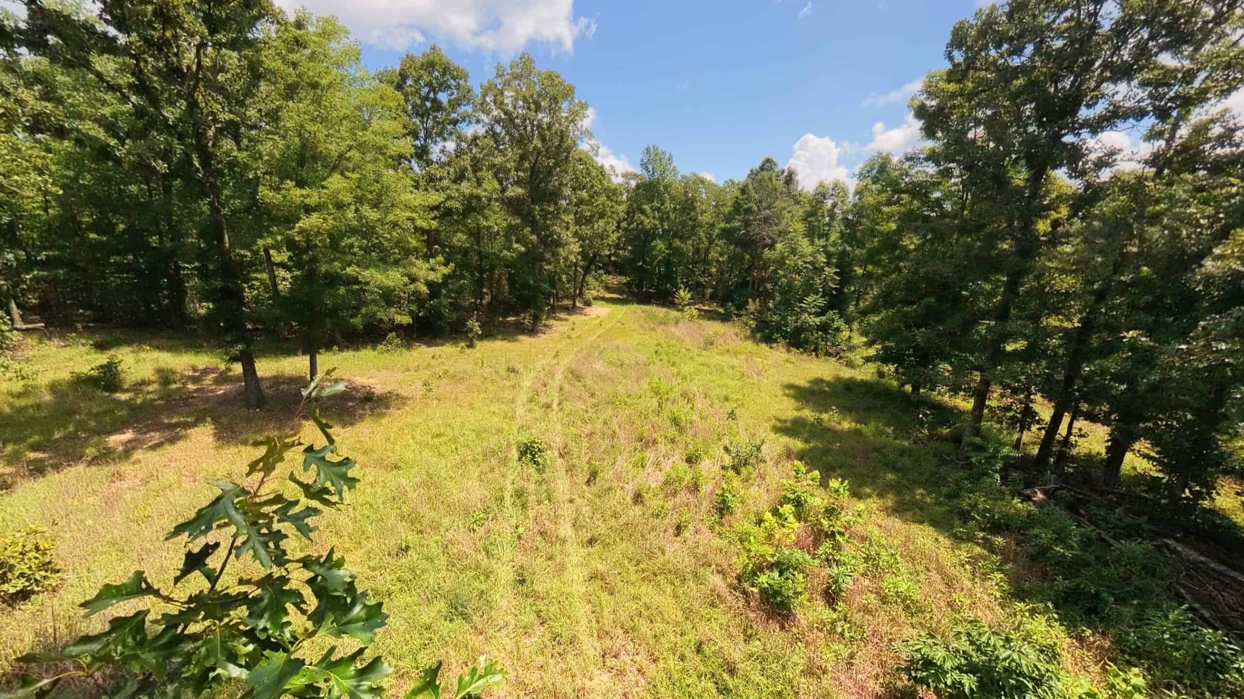 Prime Hunting Property in the Arkansas Ozarks