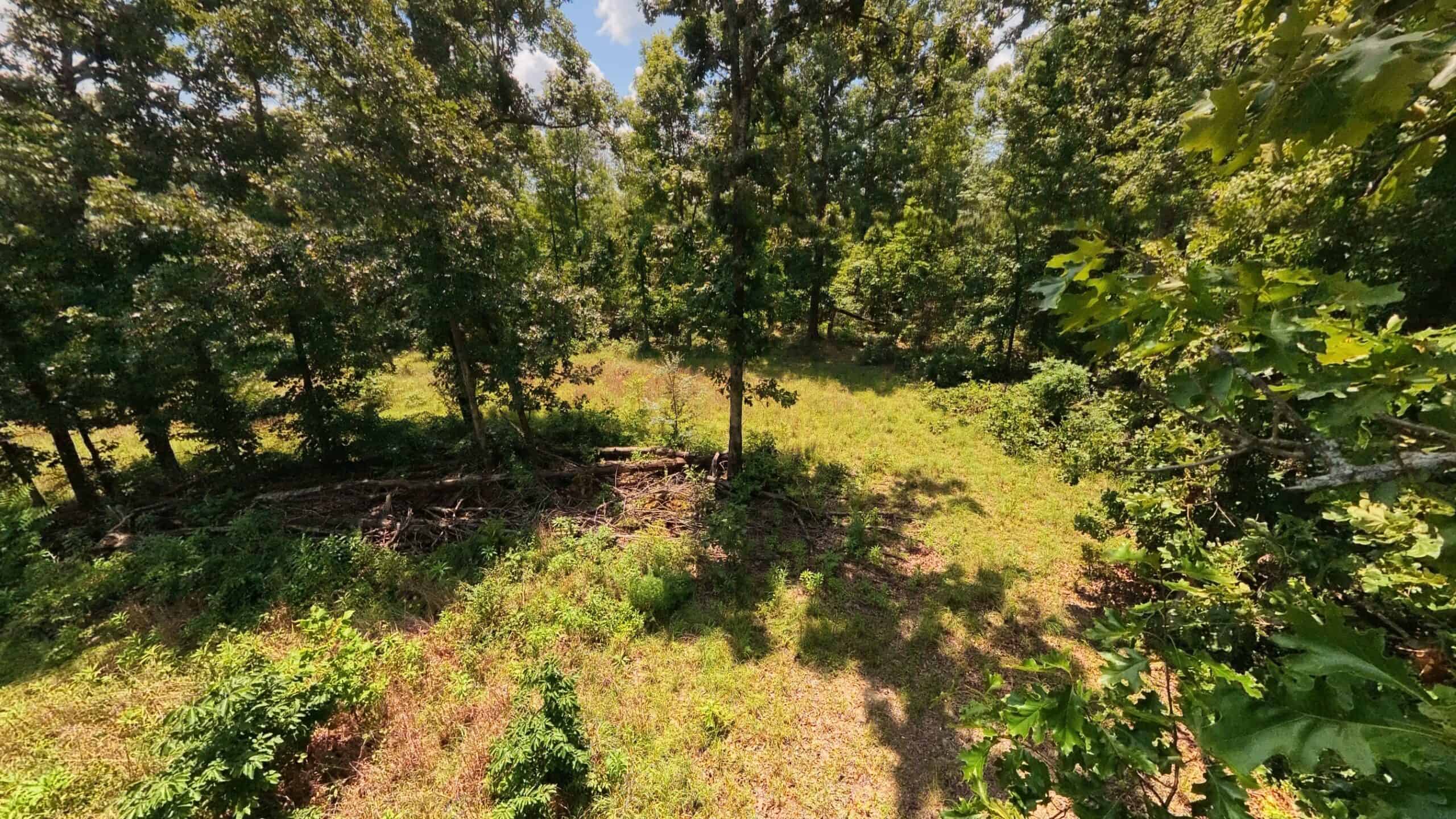 Prime Hunting Property in the Arkansas Ozarks