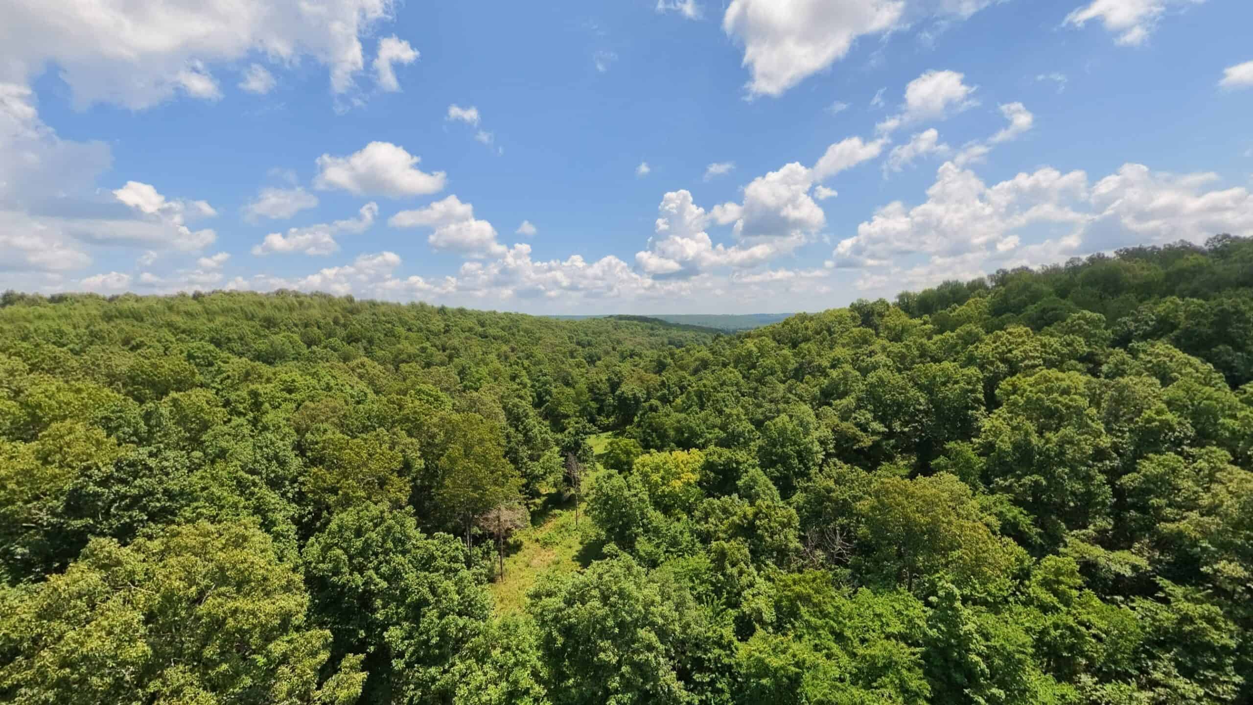 Prime Hunting Property in the Arkansas Ozarks
