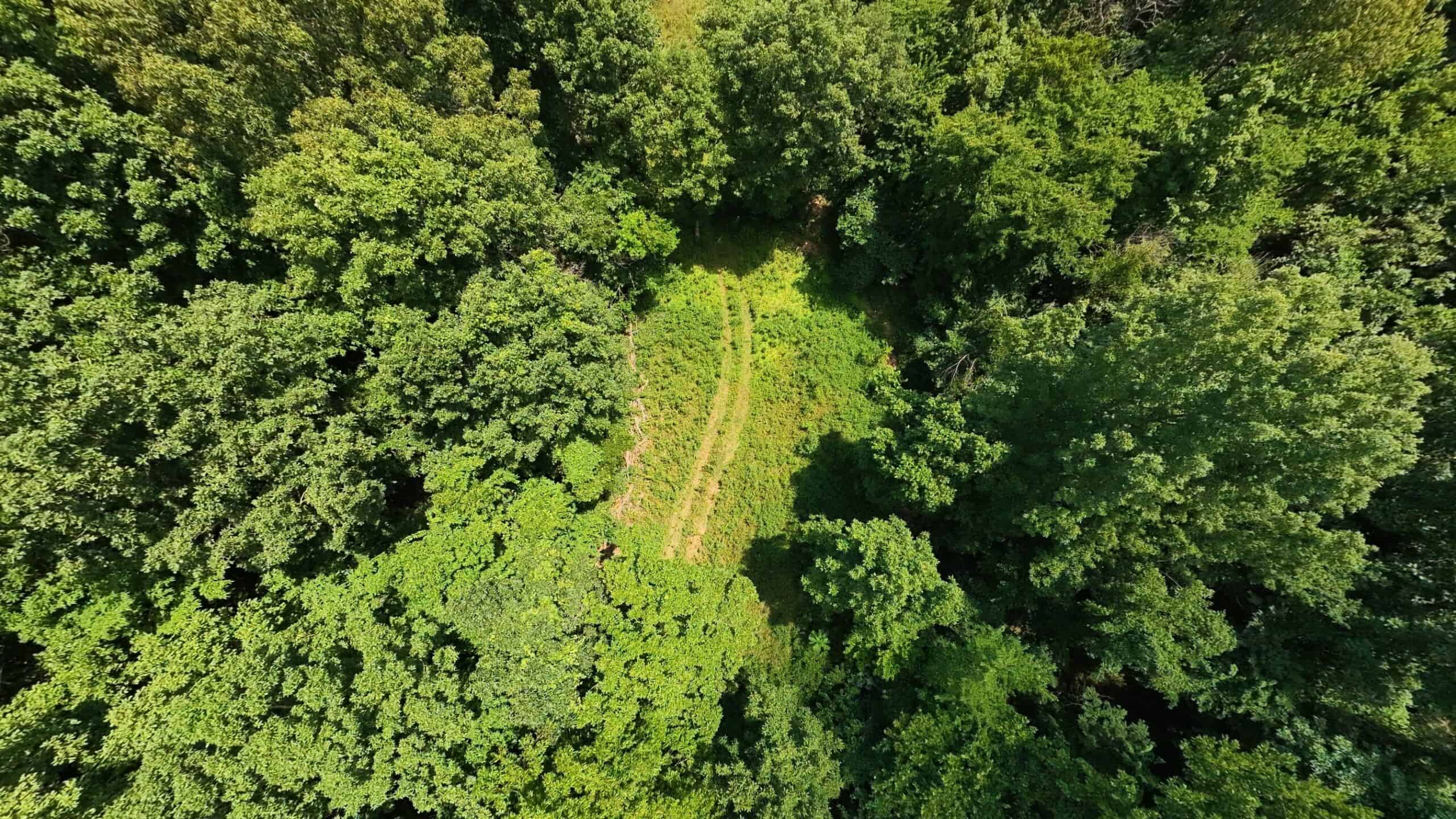 Prime Hunting Property in the Arkansas Ozarks