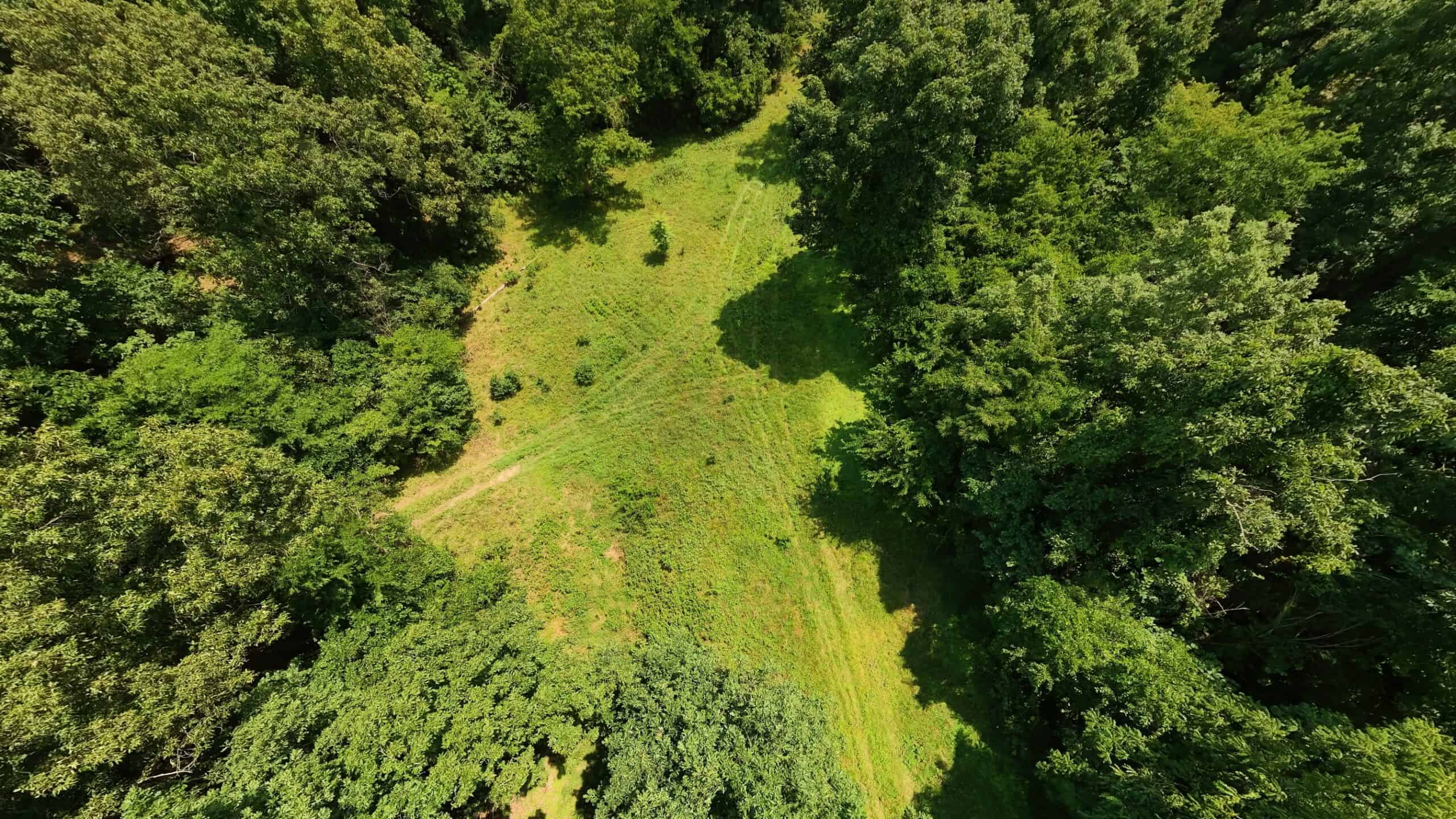 Prime Hunting Property in the Arkansas Ozarks