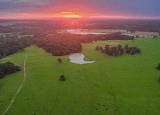 East TX Cattle Ranch & Hunting Land, Marshall Tx For Sale