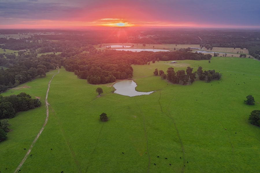 East TX Cattle Ranch & Hunting Land, Marshall Tx For Sale