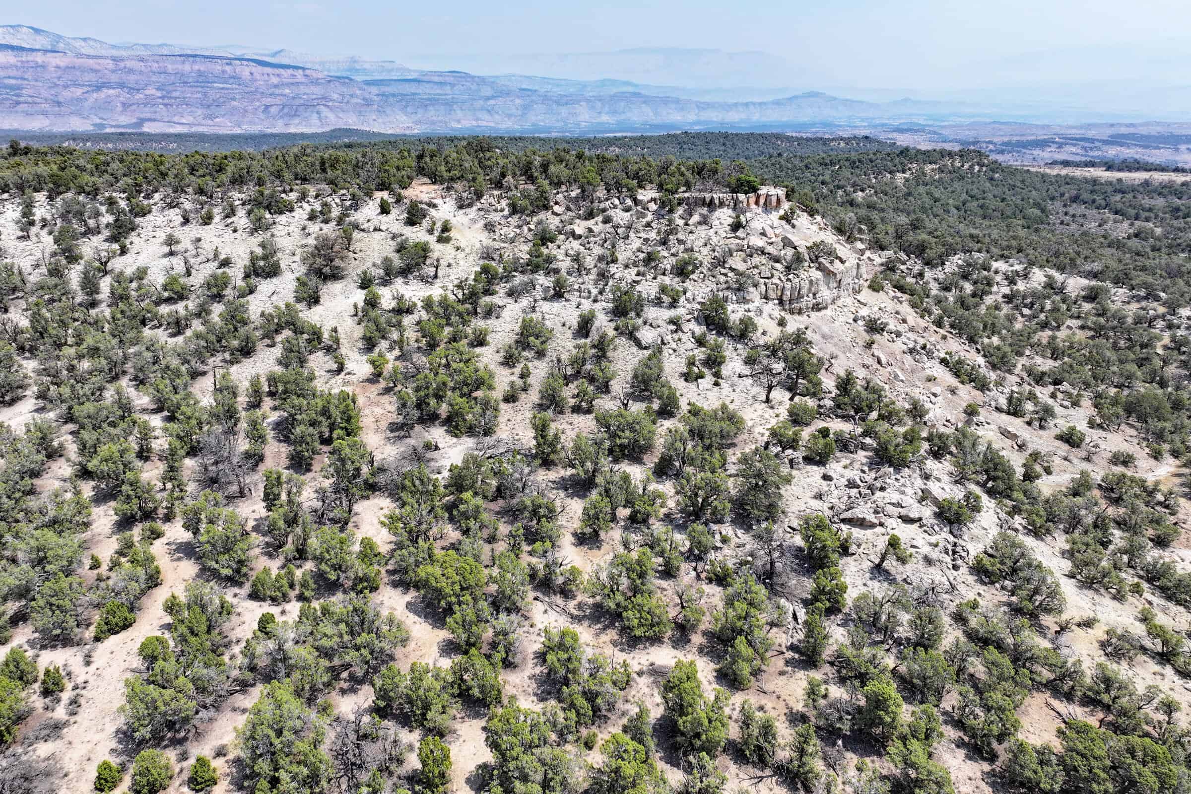 Cabin on 71 Acres in DeBeque Colorado