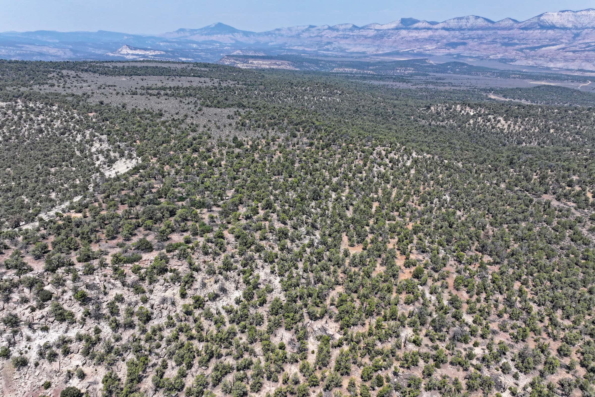 Cabin on 71 Acres in DeBeque Colorado