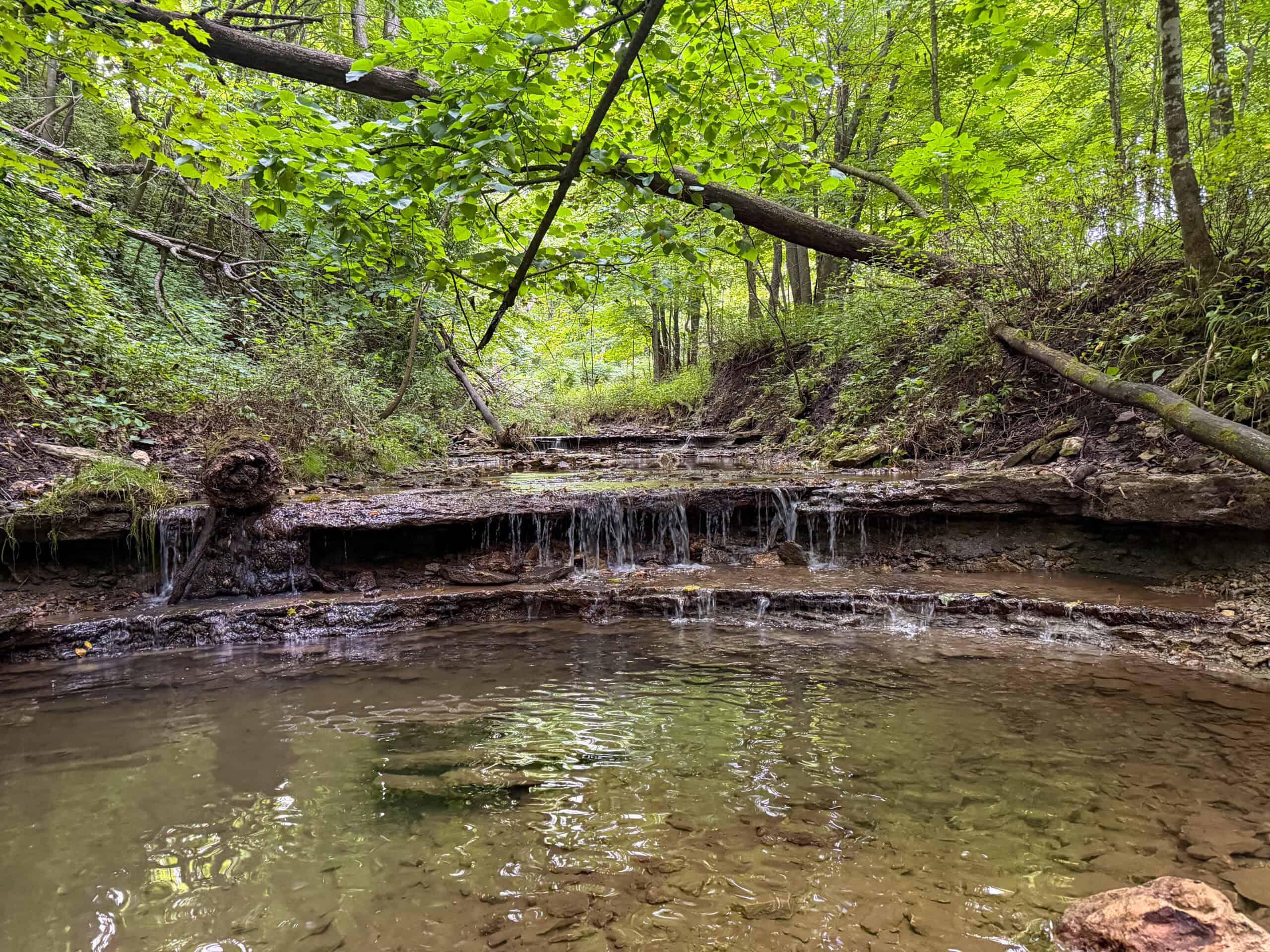 42+/- Acres with 4 Bedroom Home in Decorah IA