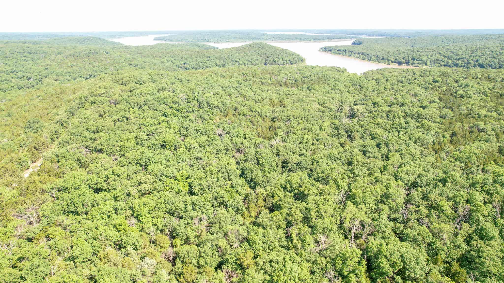 Truman Lake Hunting Property