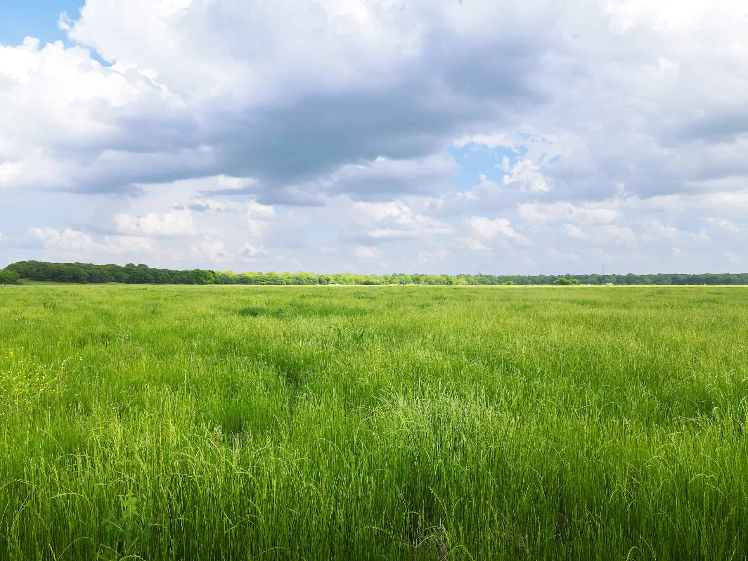 Oklahoma Recreational Land Auction