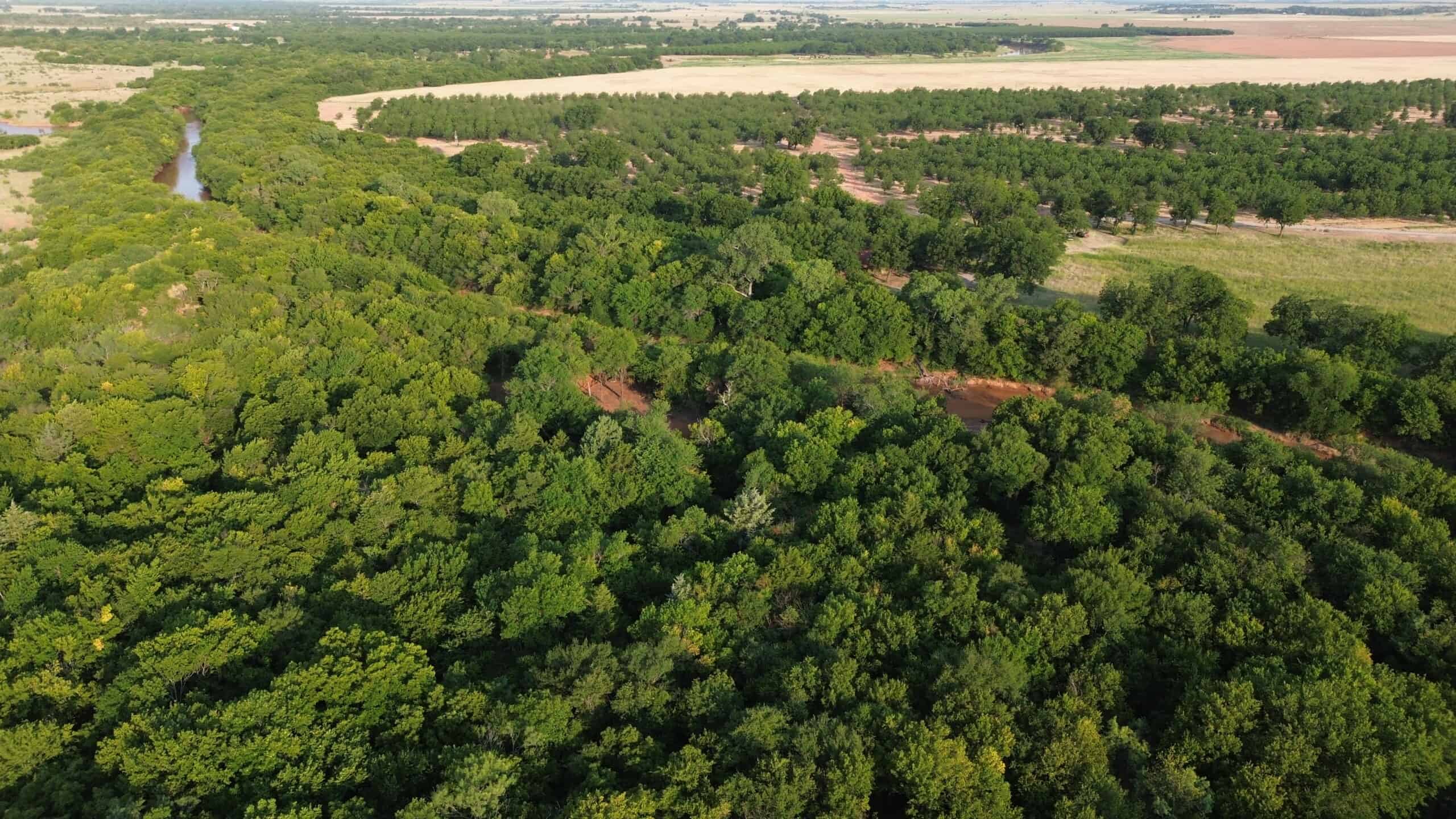 Stunning 391 ac Ranch in Clay County, TX