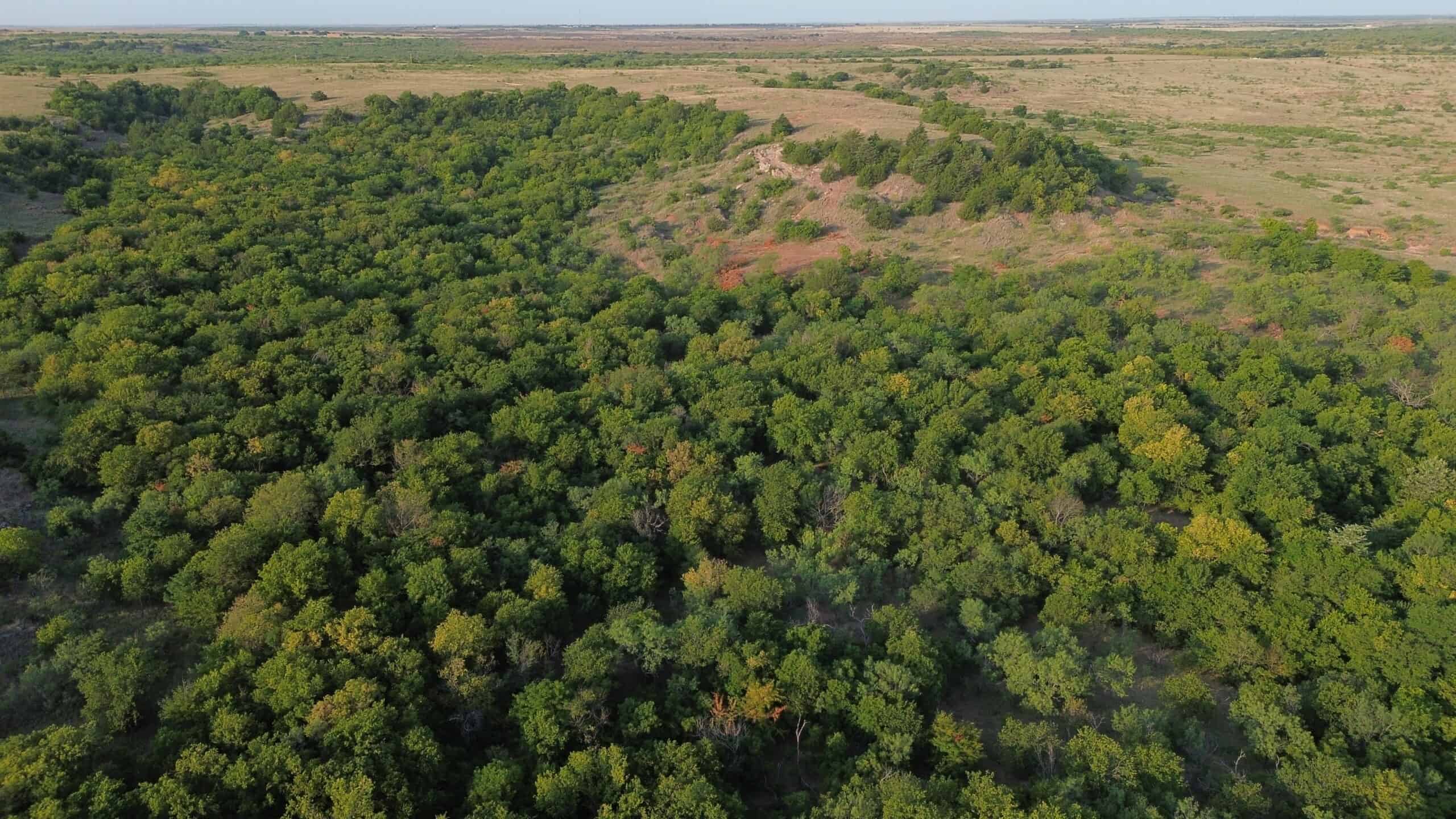 Stunning 391 ac Ranch in Clay County, TX