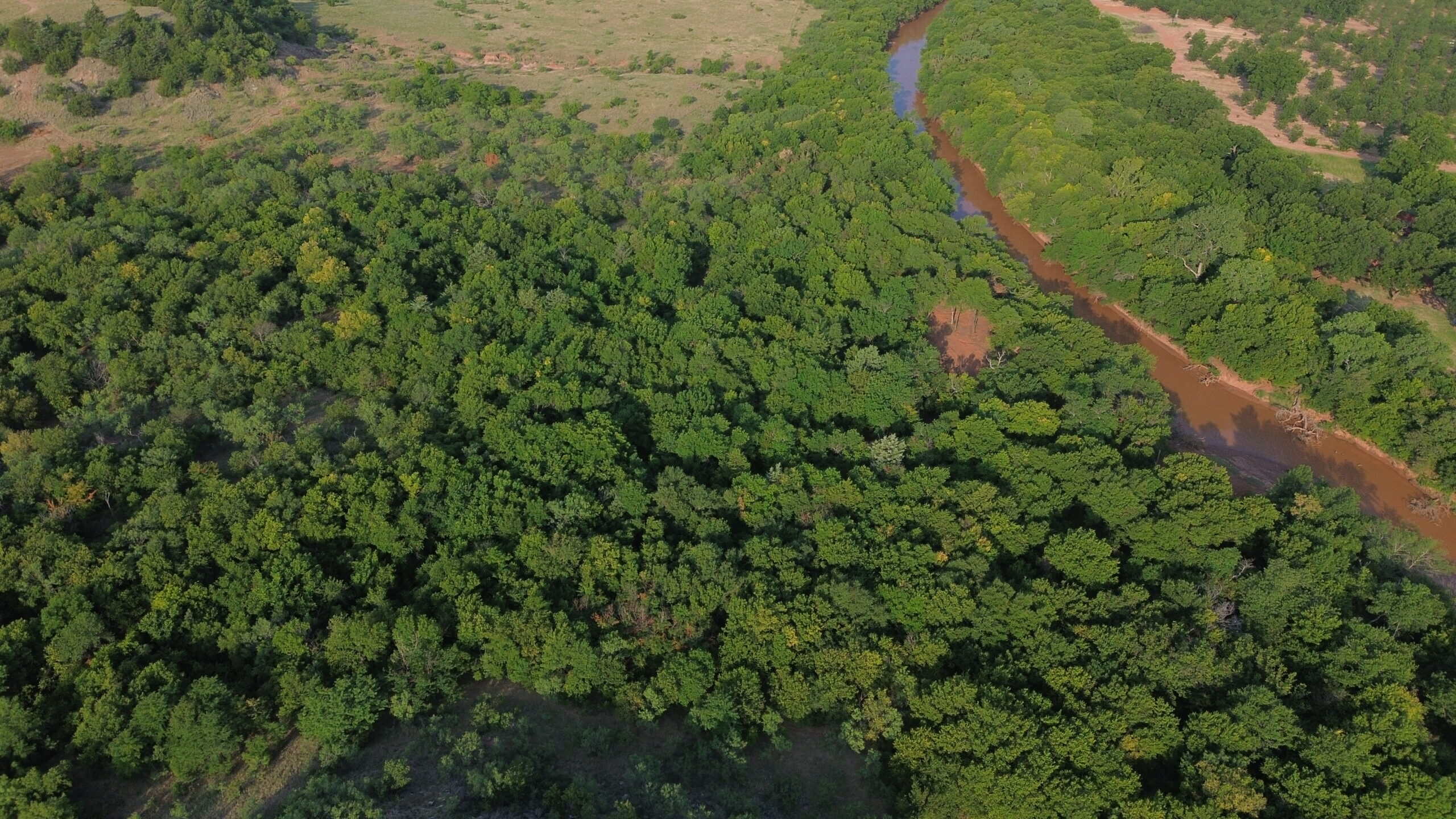 Stunning 391 ac Ranch in Clay County, TX