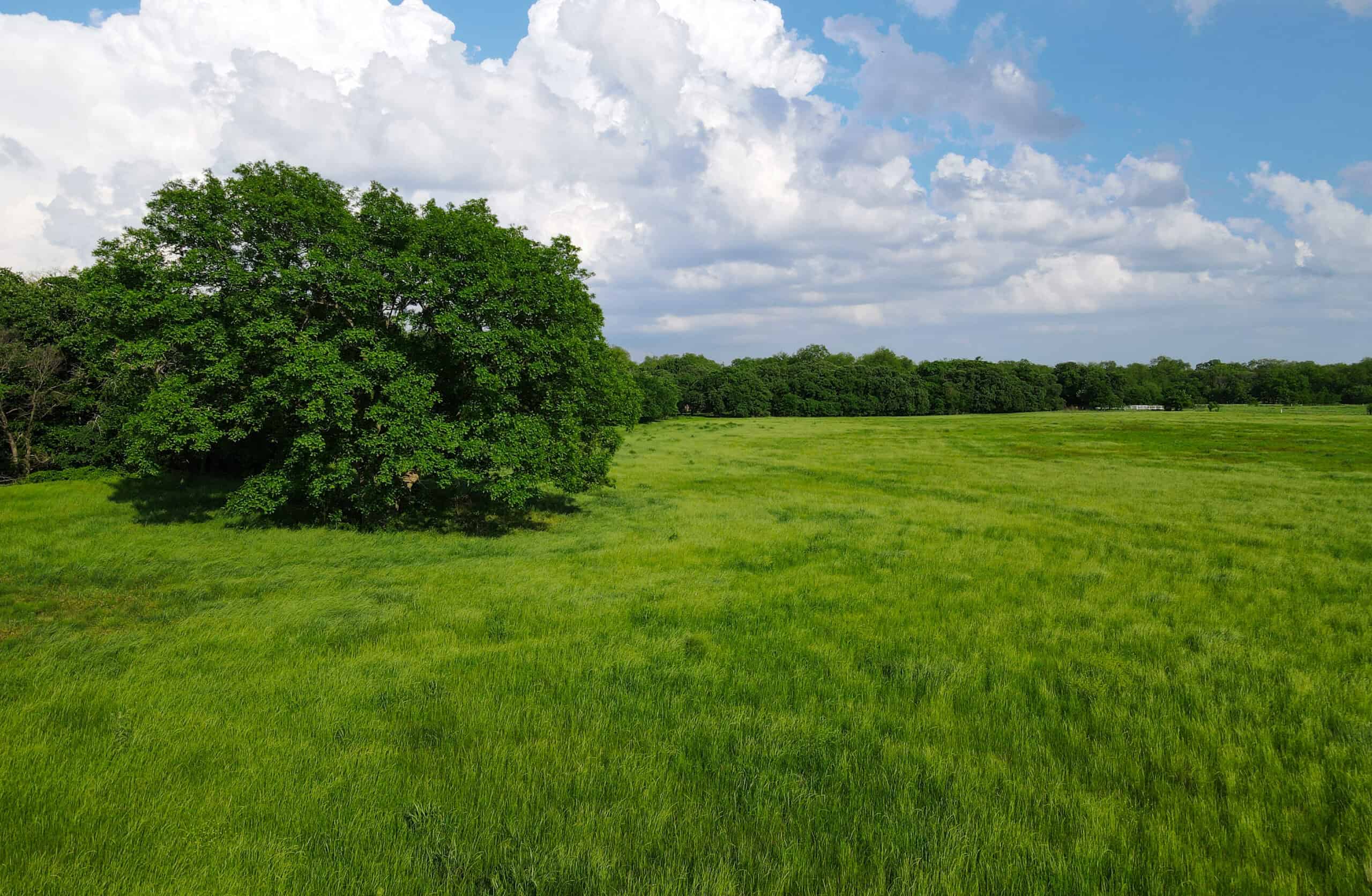 Oklahoma Recreational Land Auction