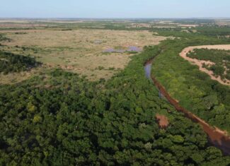 Stunning 391 ac Ranch in Clay County, TX