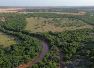Stunning 391 ac Ranch in Clay County, TX