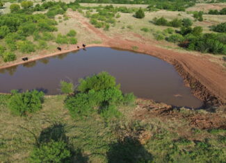Stunning 391 ac Ranch in Clay County, TX