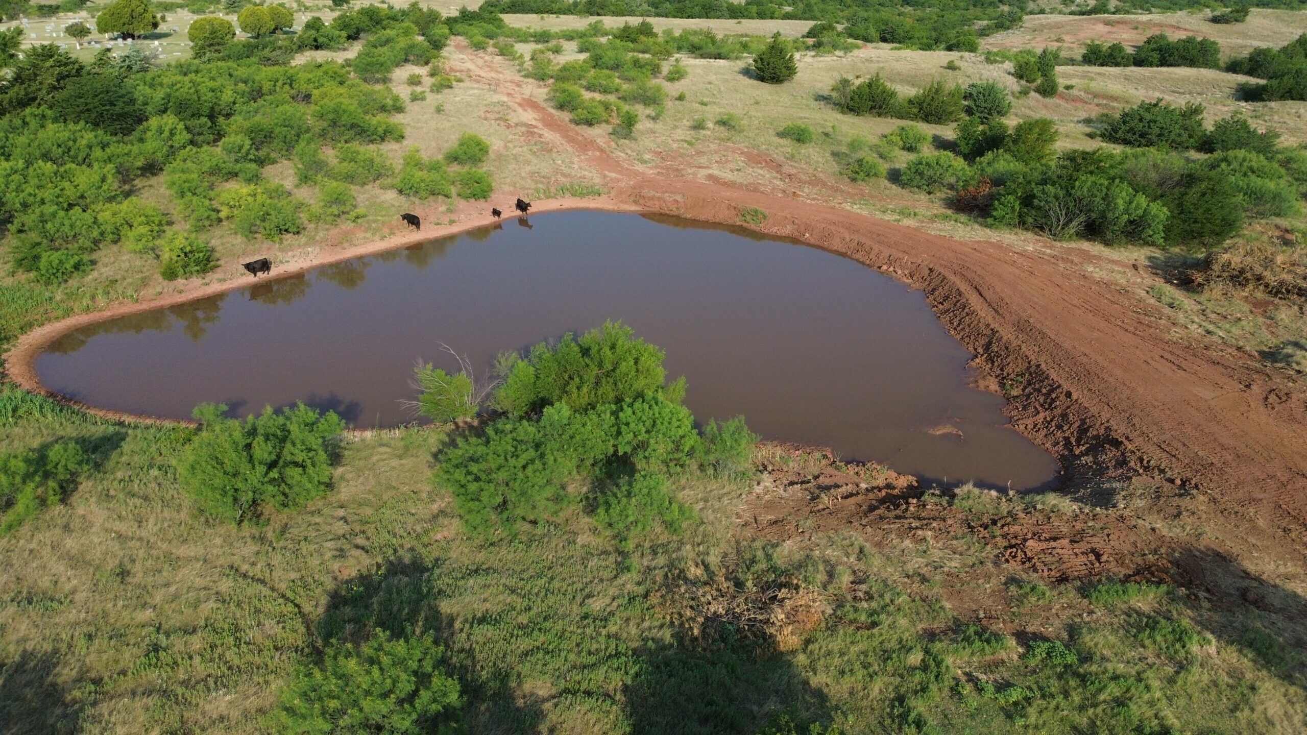 Stunning 391 ac Ranch in Clay County, TX