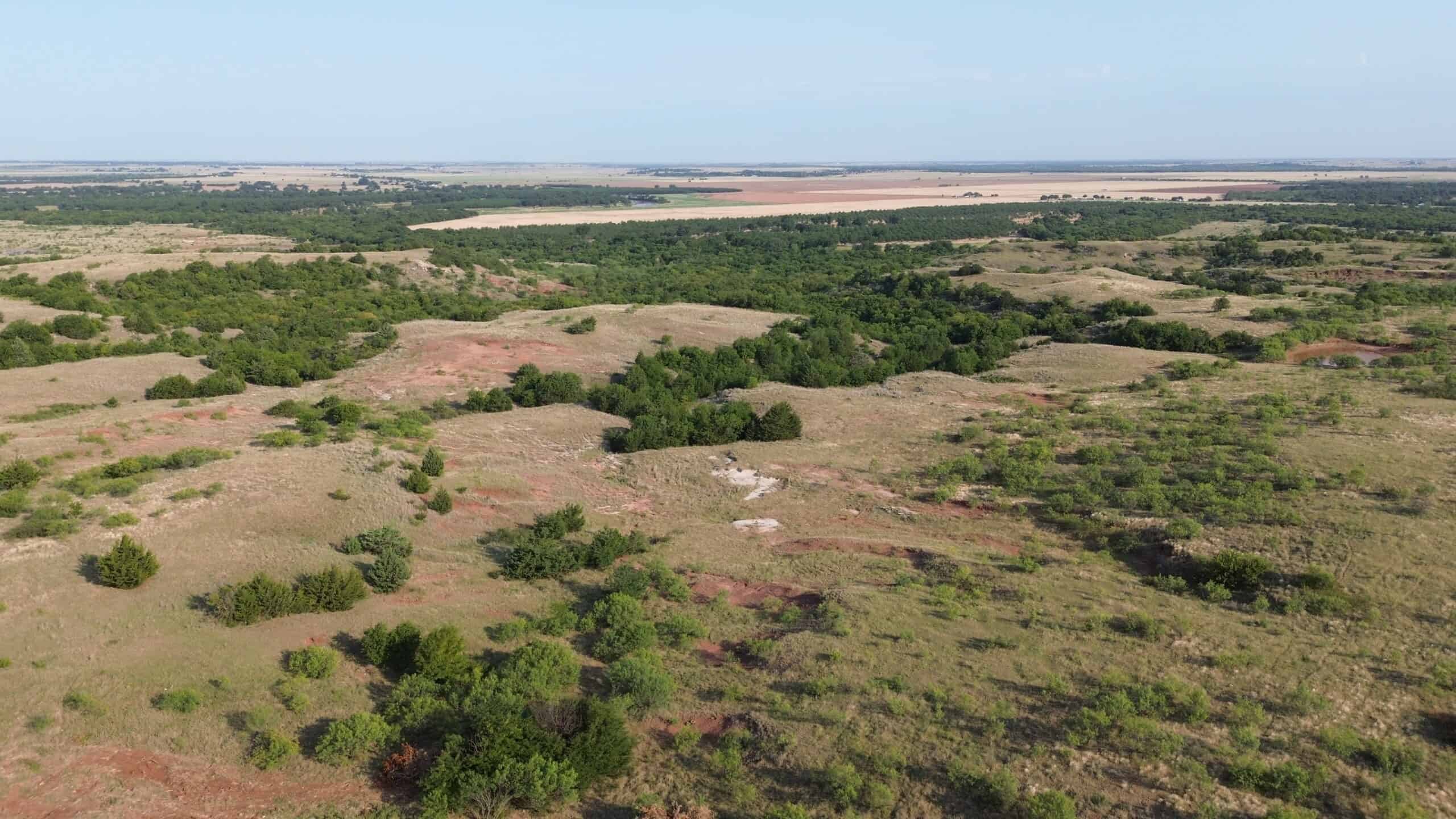 Stunning 391 ac Ranch in Clay County, TX