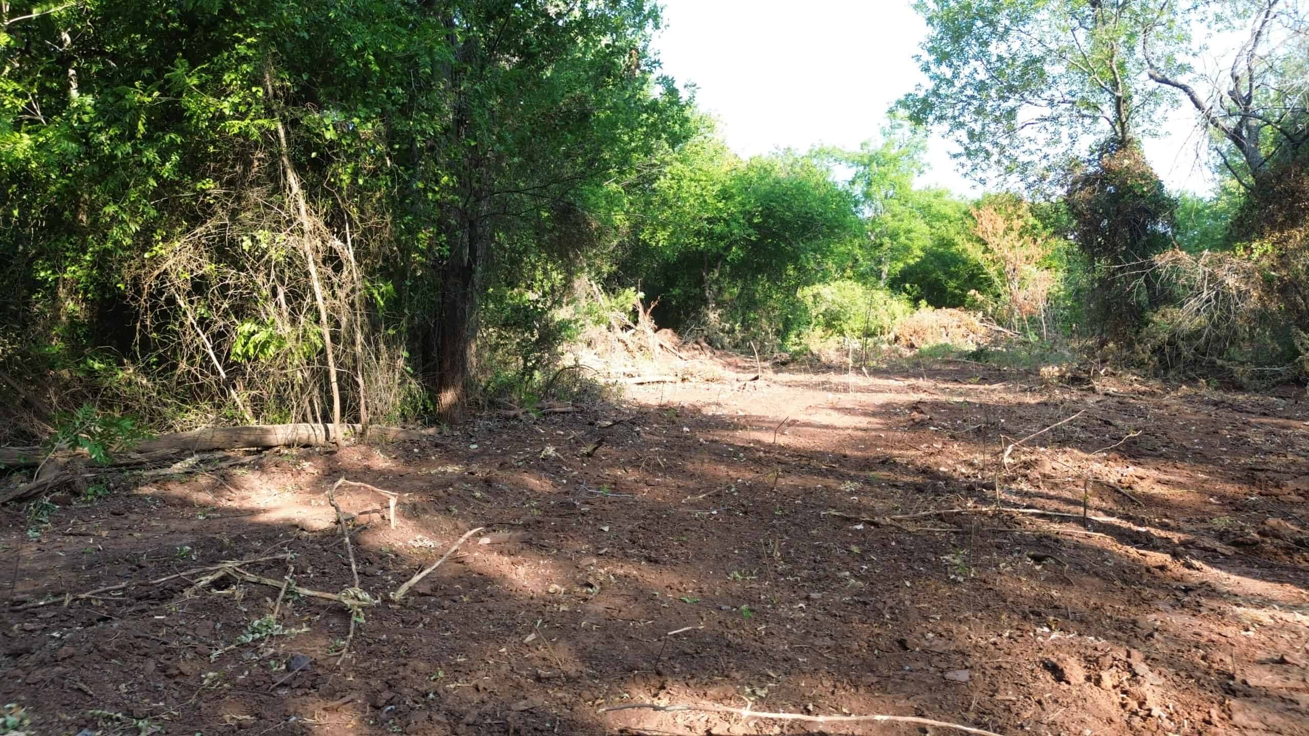 Stunning 391 ac Ranch in Clay County, TX
