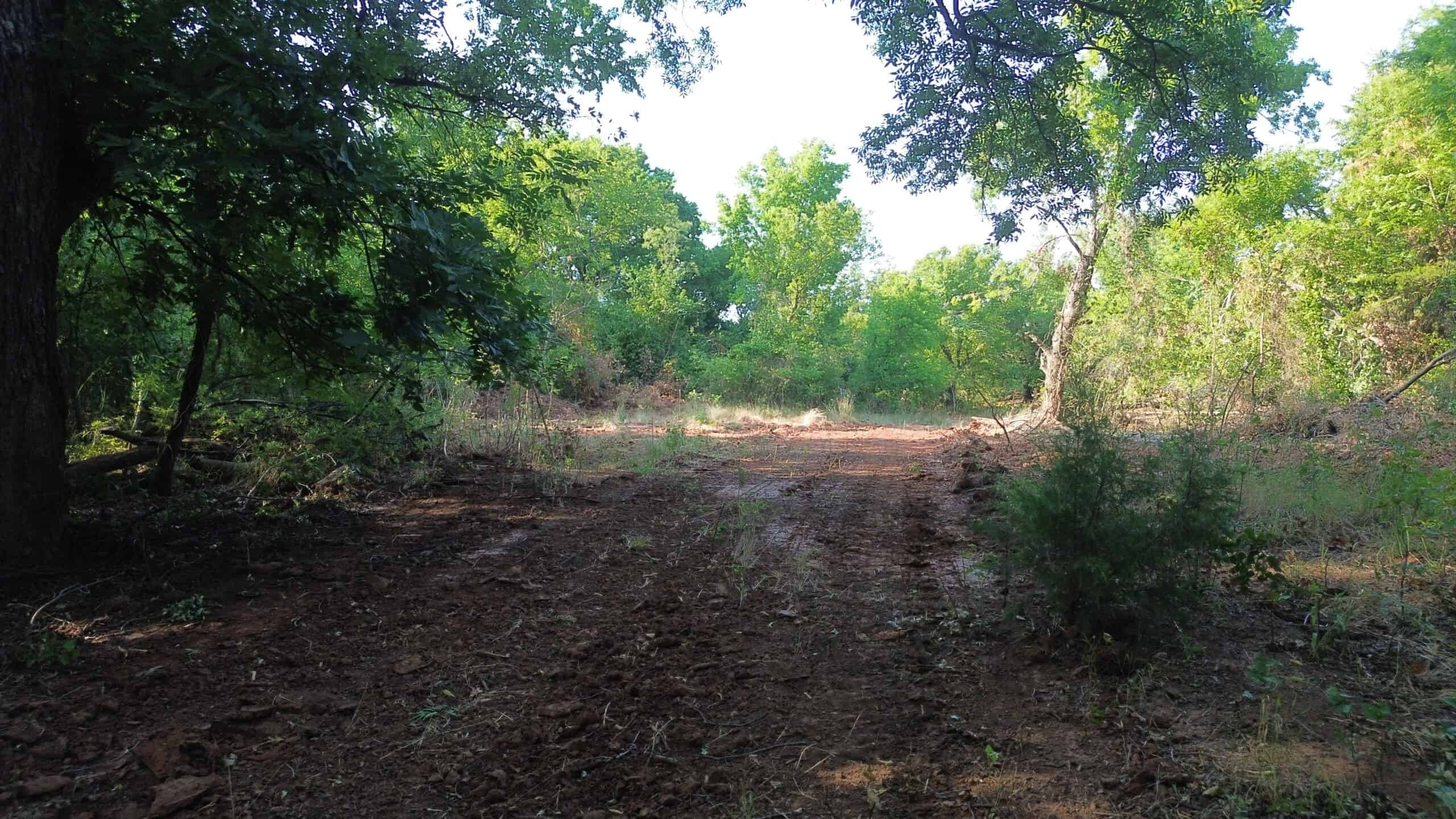 Stunning 391 ac Ranch in Clay County, TX