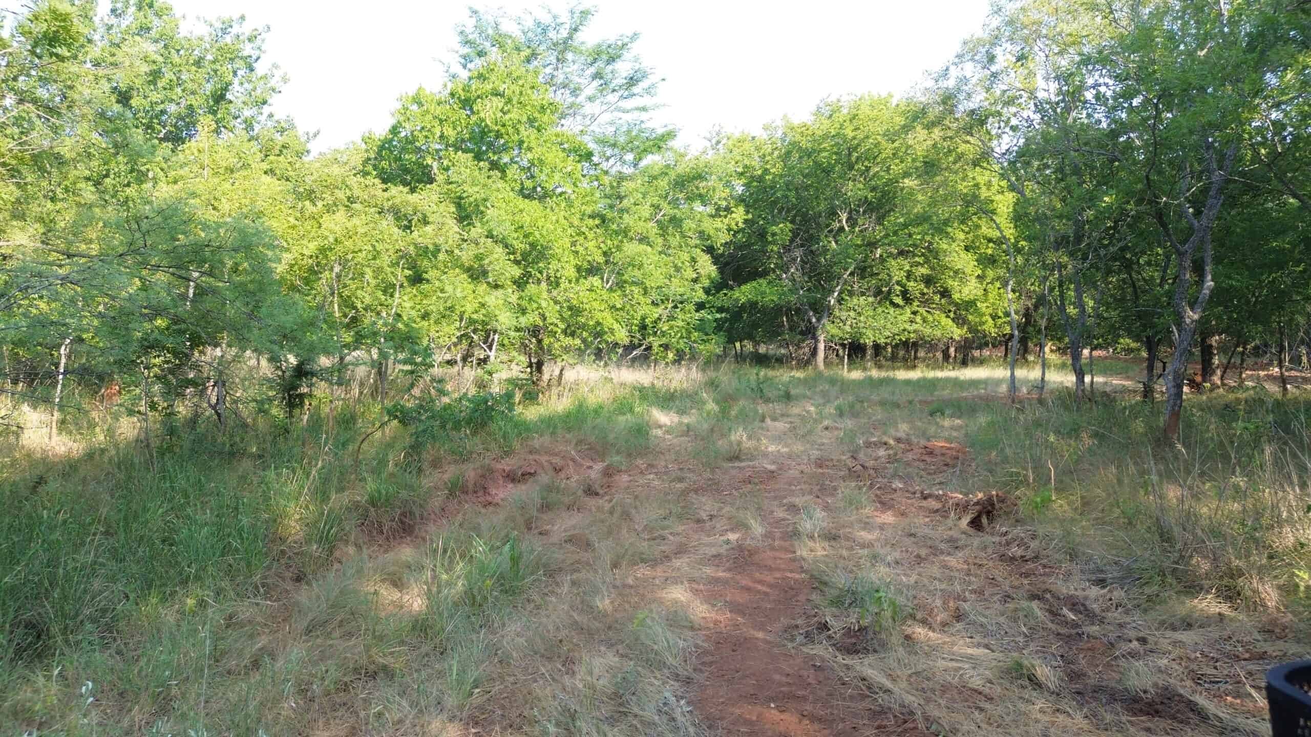 Stunning 391 ac Ranch in Clay County, TX