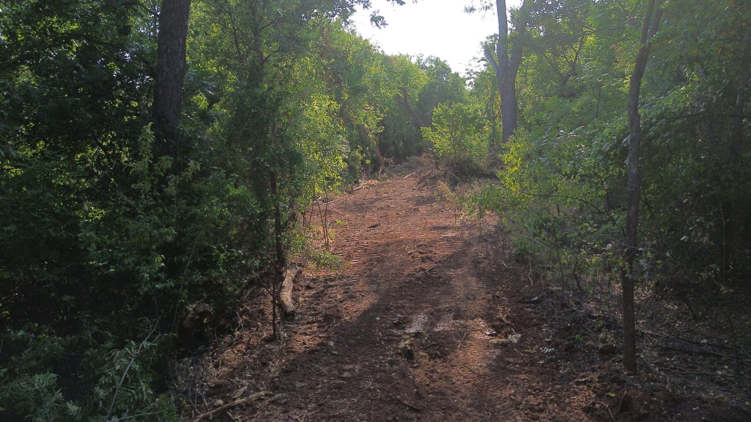 Stunning 391 ac Ranch in Clay County, TX