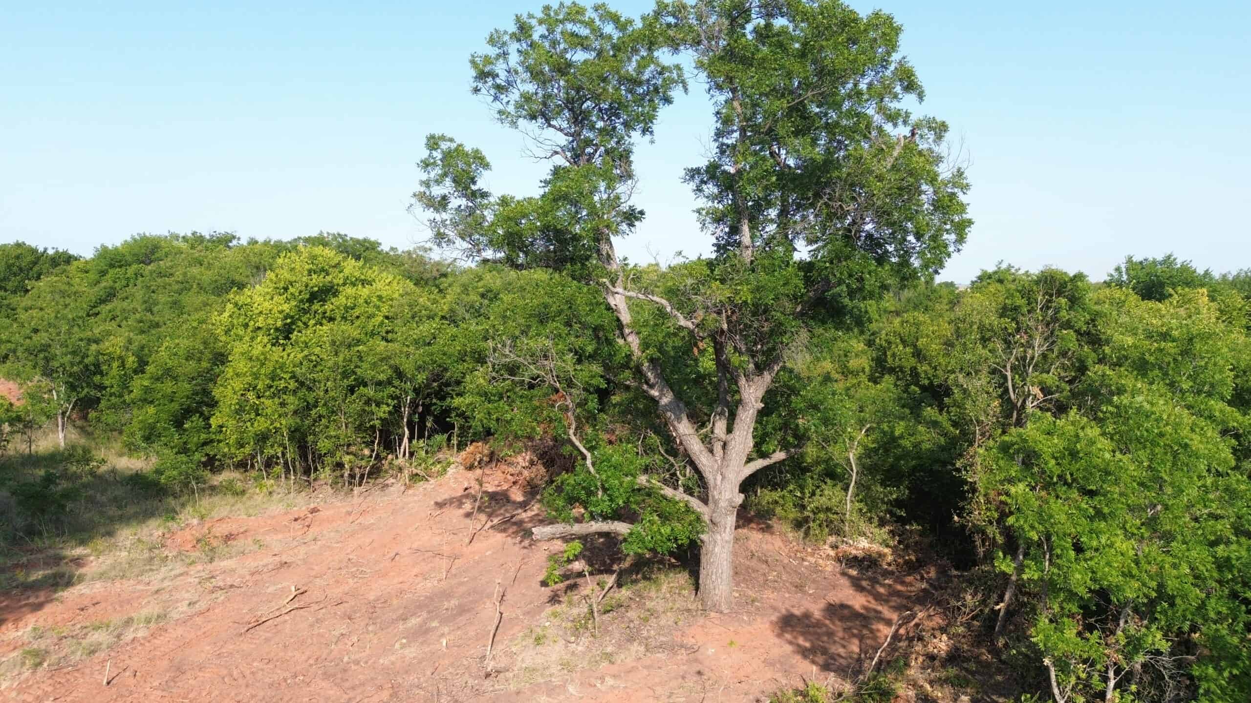 Stunning 391 ac Ranch in Clay County, TX