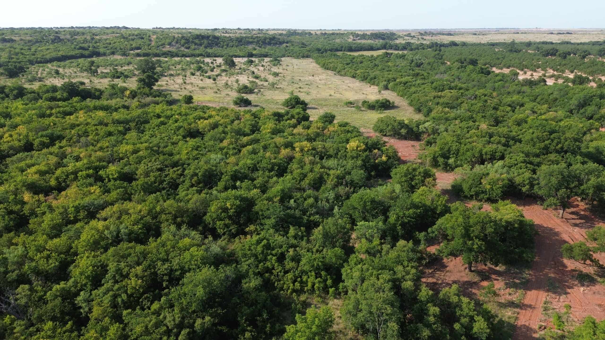 Stunning 391 ac Ranch in Clay County, TX