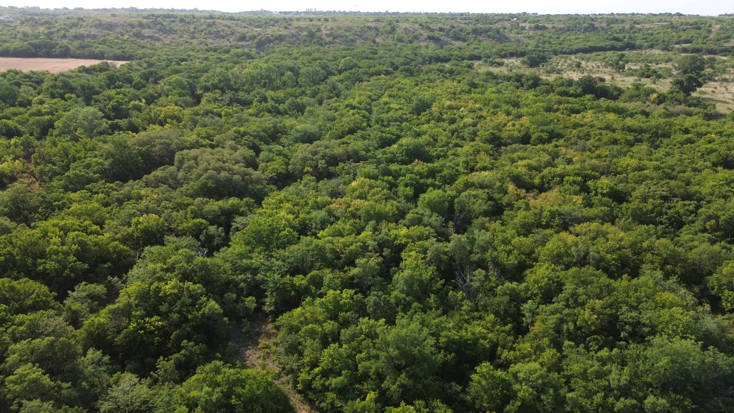 Stunning 391 ac Ranch in Clay County, TX
