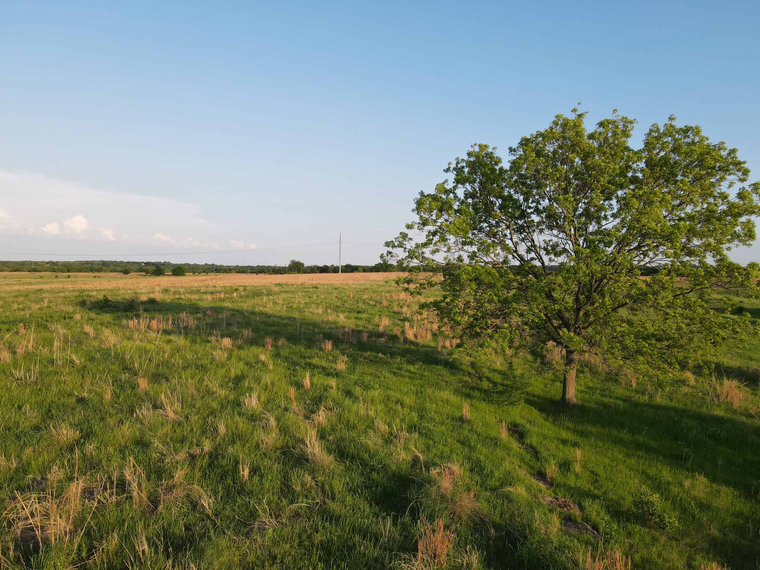 Oklahoma Recreational Land Auction