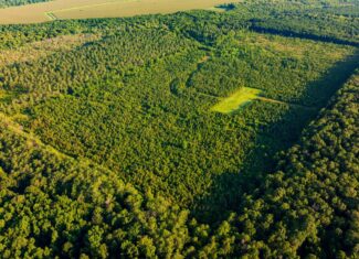 Jelks Bayou 360 – Timber and Hunting Investment Morehouse Parish