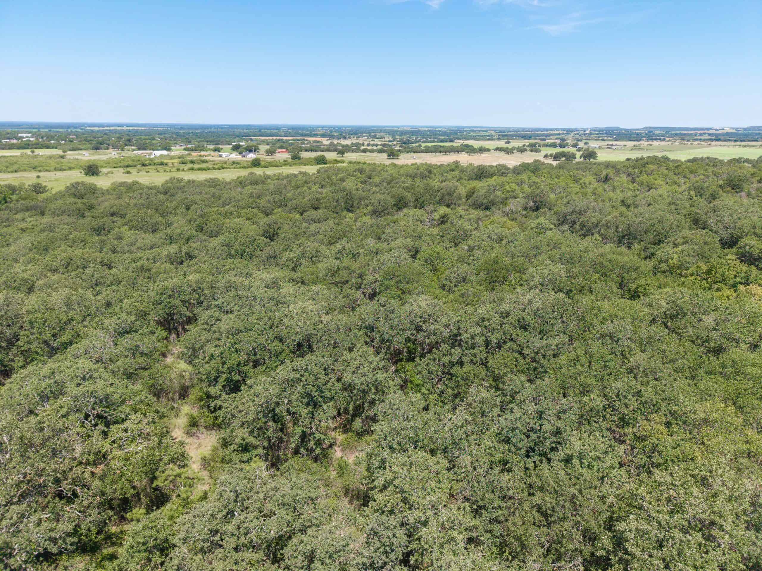 55 Acres for Sale in Brown County, Texas- May | Hunting, Ranch & Homesite Land with Well and Electricity