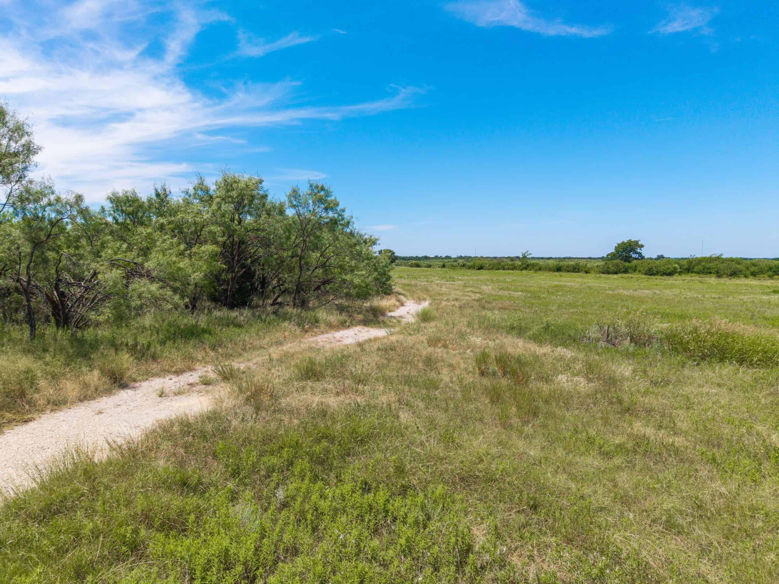 55 Acres for Sale in Brown County, Texas- May | Hunting, Ranch & Homesite Land with Well and Electricity