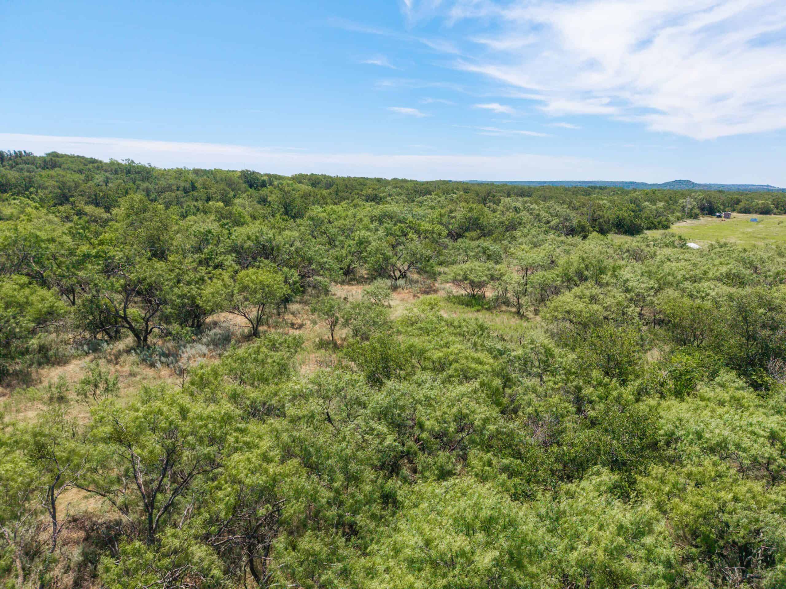 55 Acres for Sale in Brown County, Texas- May | Hunting, Ranch & Homesite Land with Well and Electricity