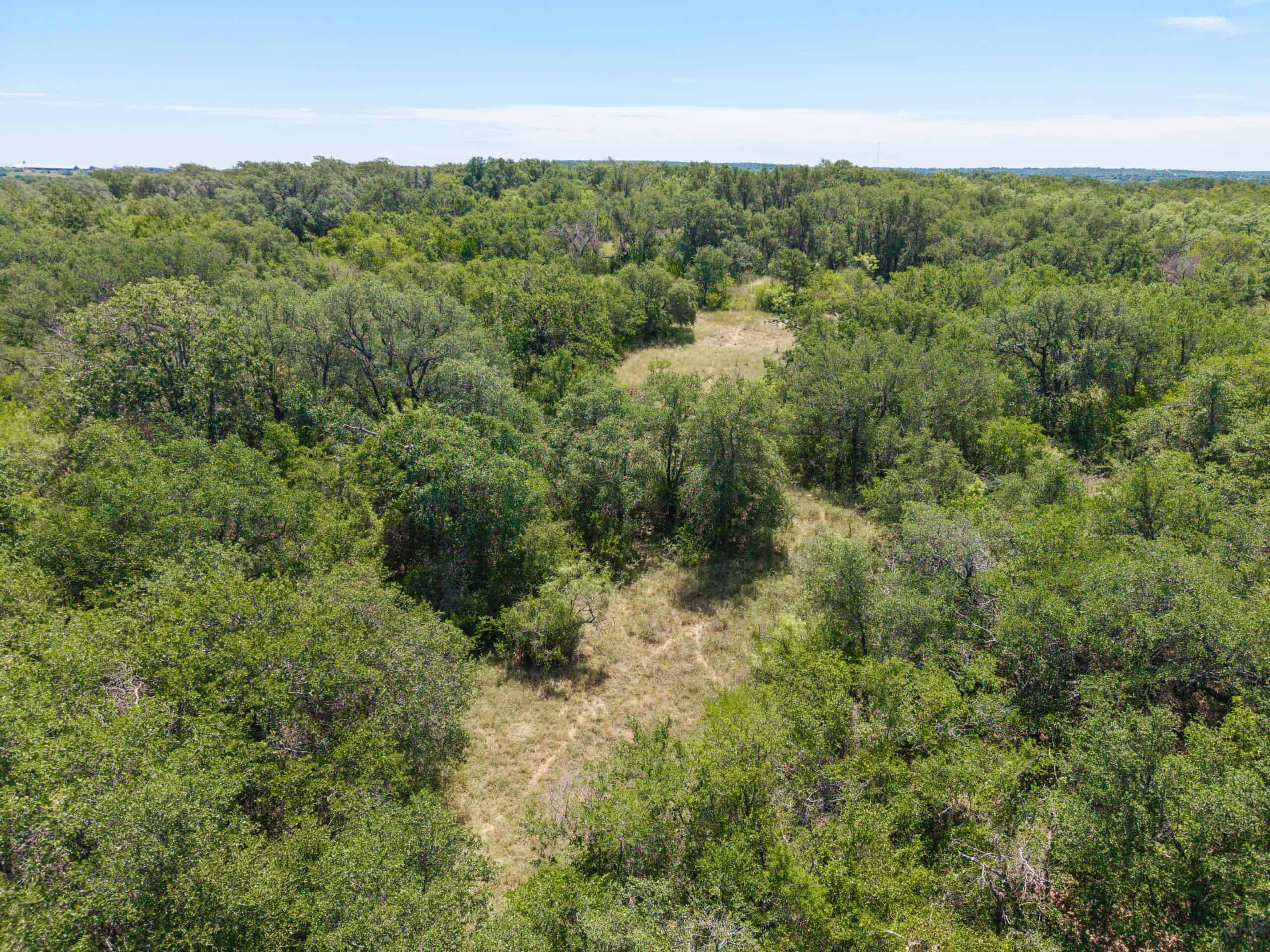 55 Acres for Sale in Brown County, Texas- May | Hunting, Ranch & Homesite Land with Well and Electricity