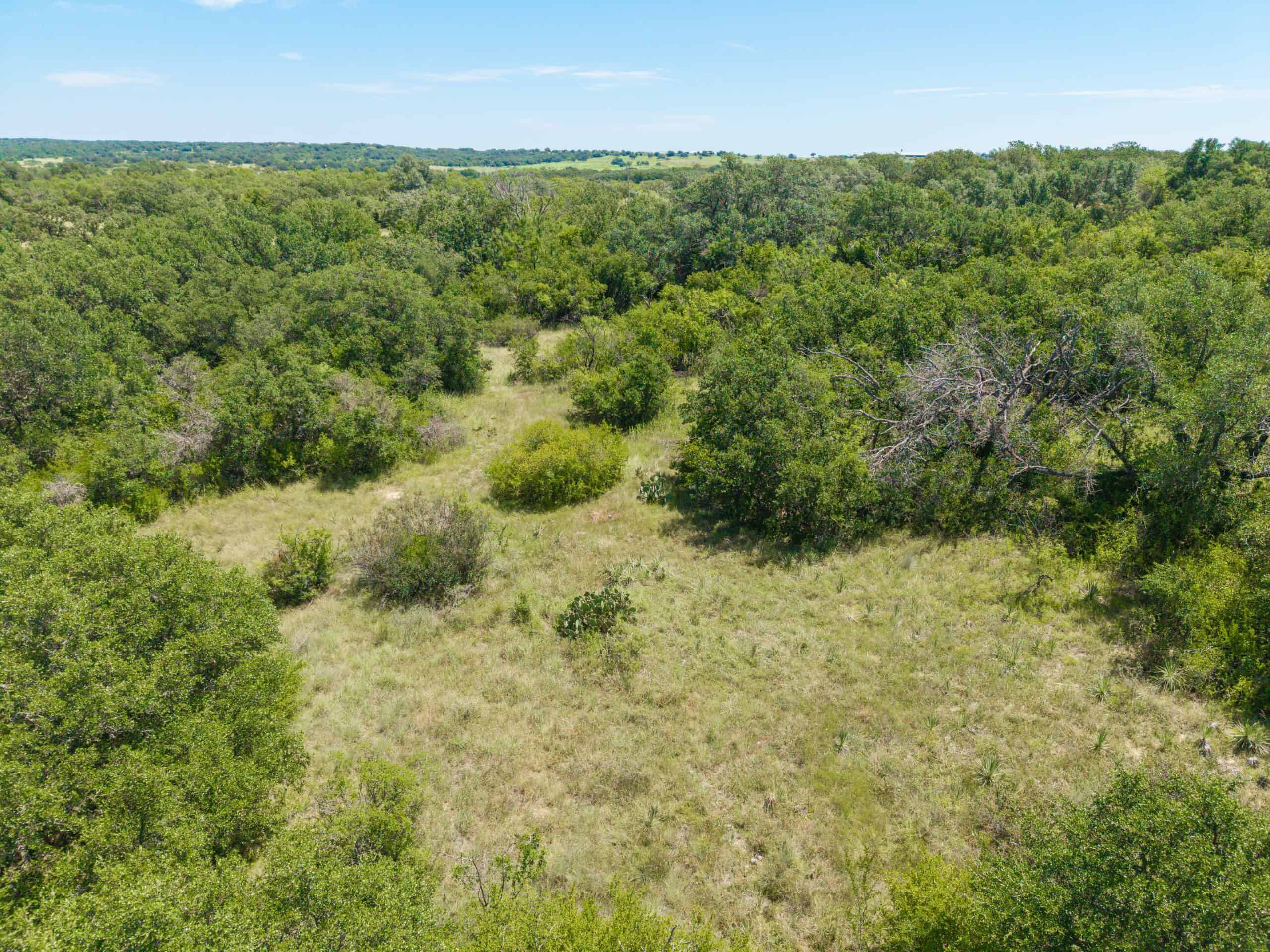 55 Acres for Sale in Brown County, Texas- May | Hunting, Ranch & Homesite Land with Well and Electricity