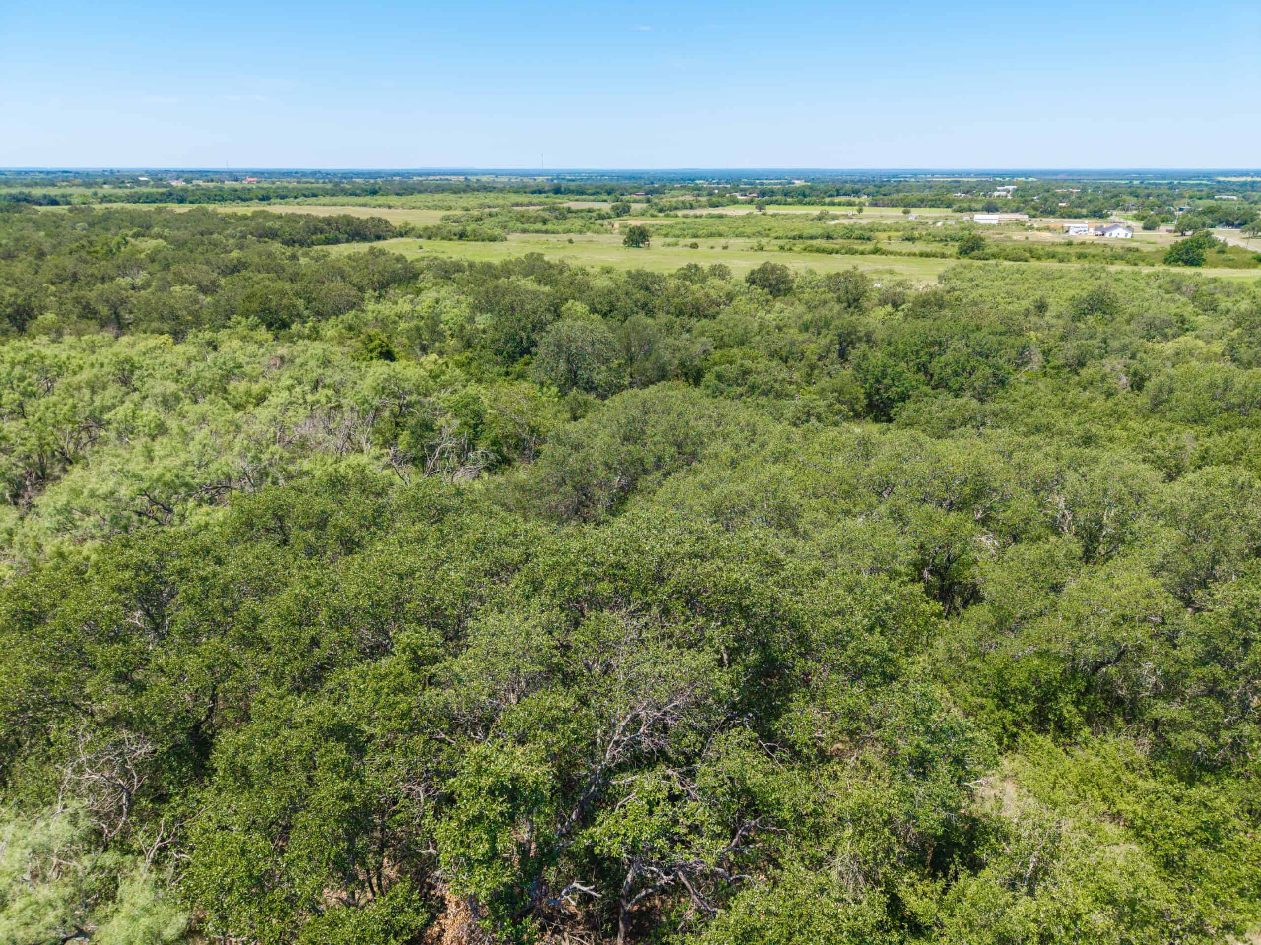 55 Acres for Sale in Brown County, Texas- May | Hunting, Ranch & Homesite Land with Well and Electricity