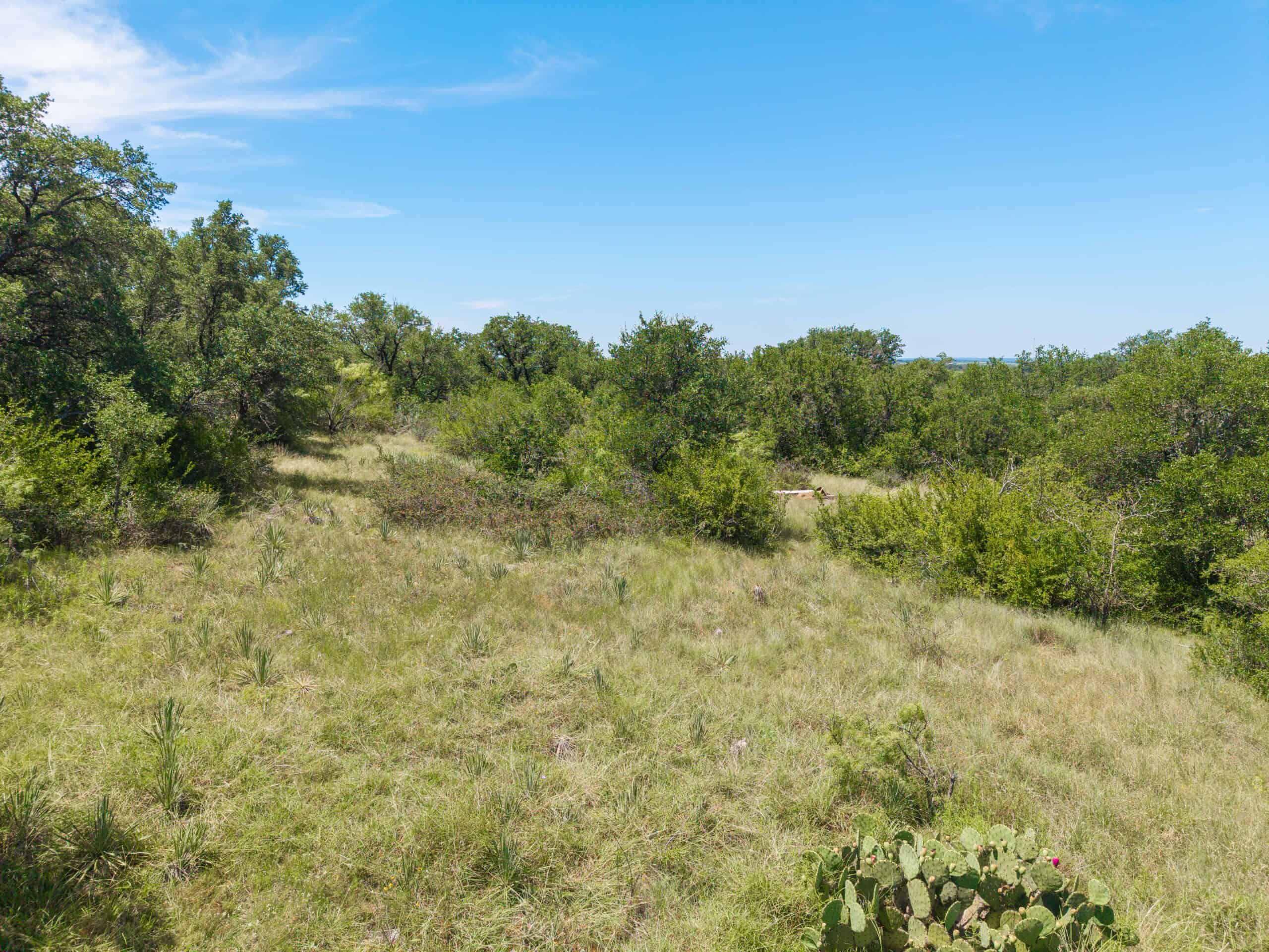 55 Acres for Sale in Brown County, Texas- May | Hunting, Ranch & Homesite Land with Well and Electricity