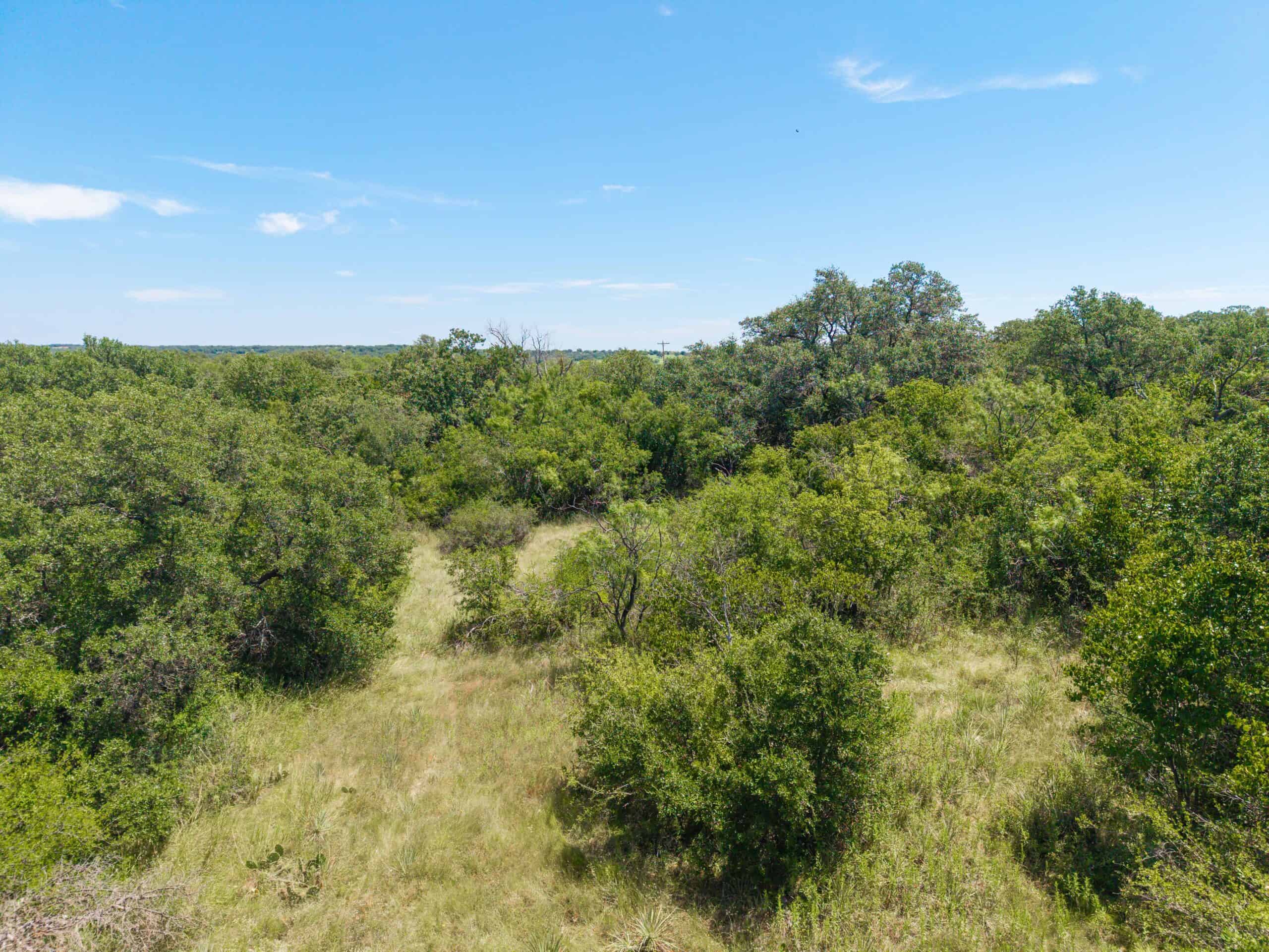 55 Acres for Sale in Brown County, Texas- May | Hunting, Ranch & Homesite Land with Well and Electricity