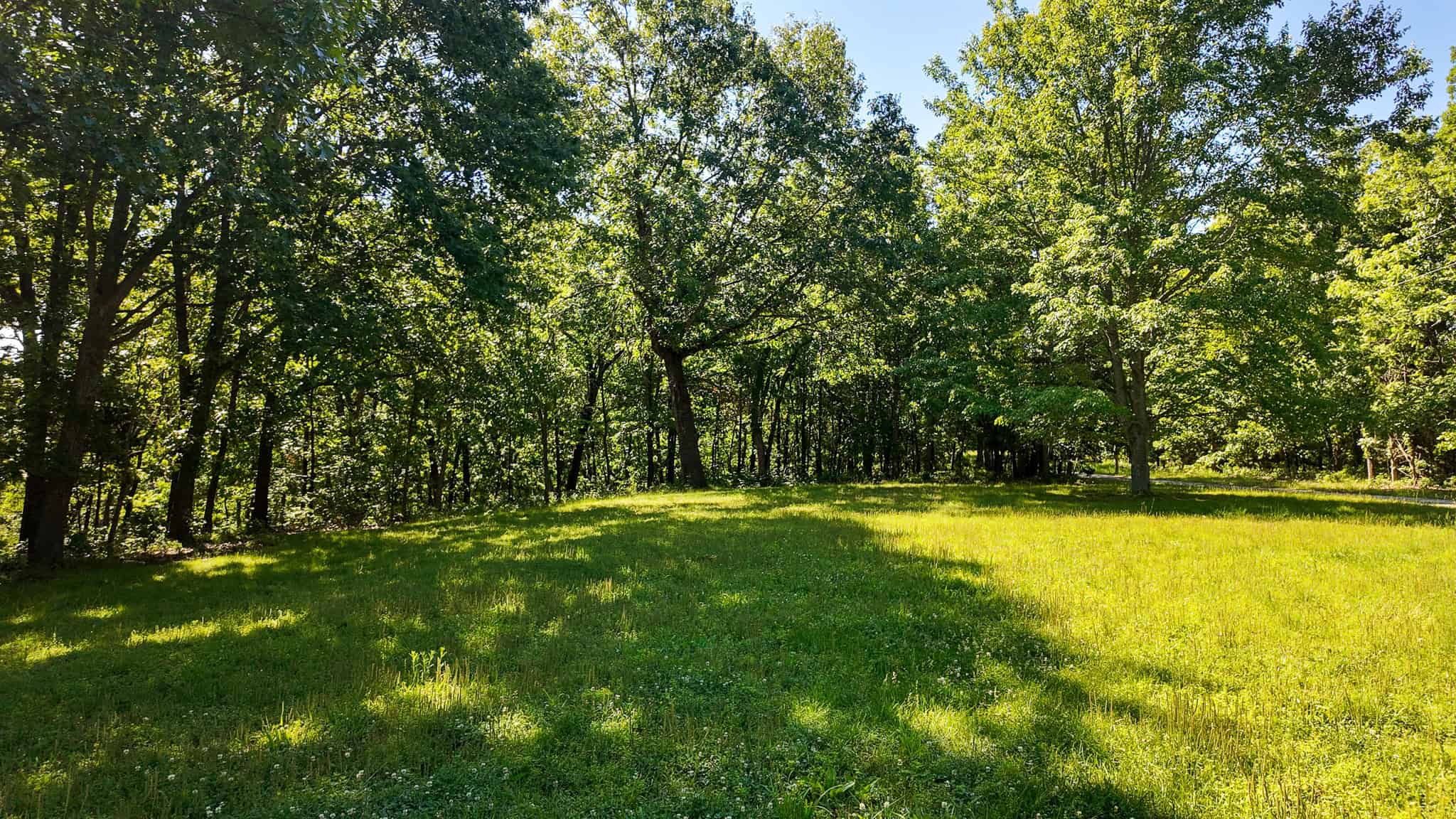 Truman Lake Hunting Property