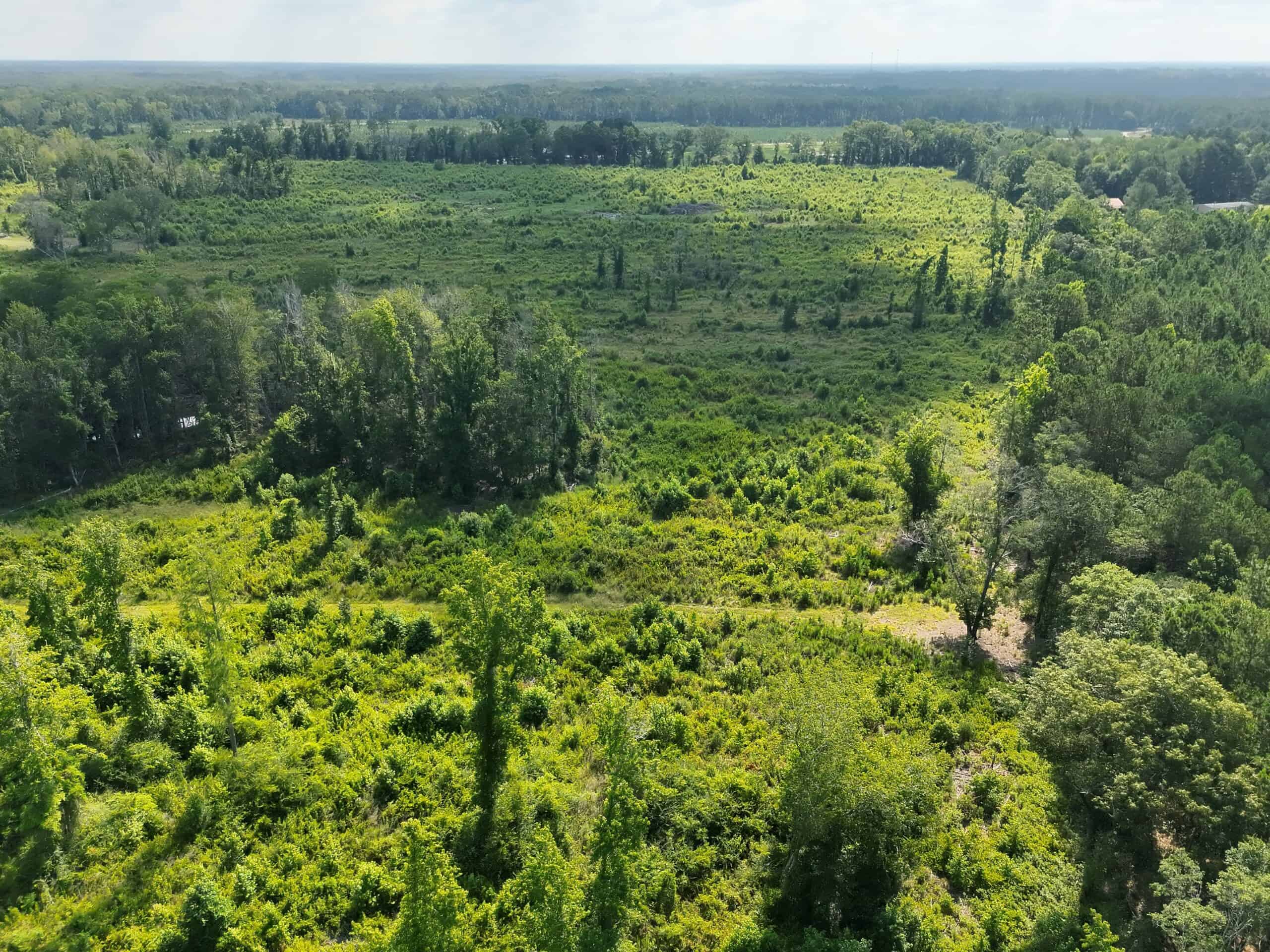 88-acre parcel on Hunter’s Chapel