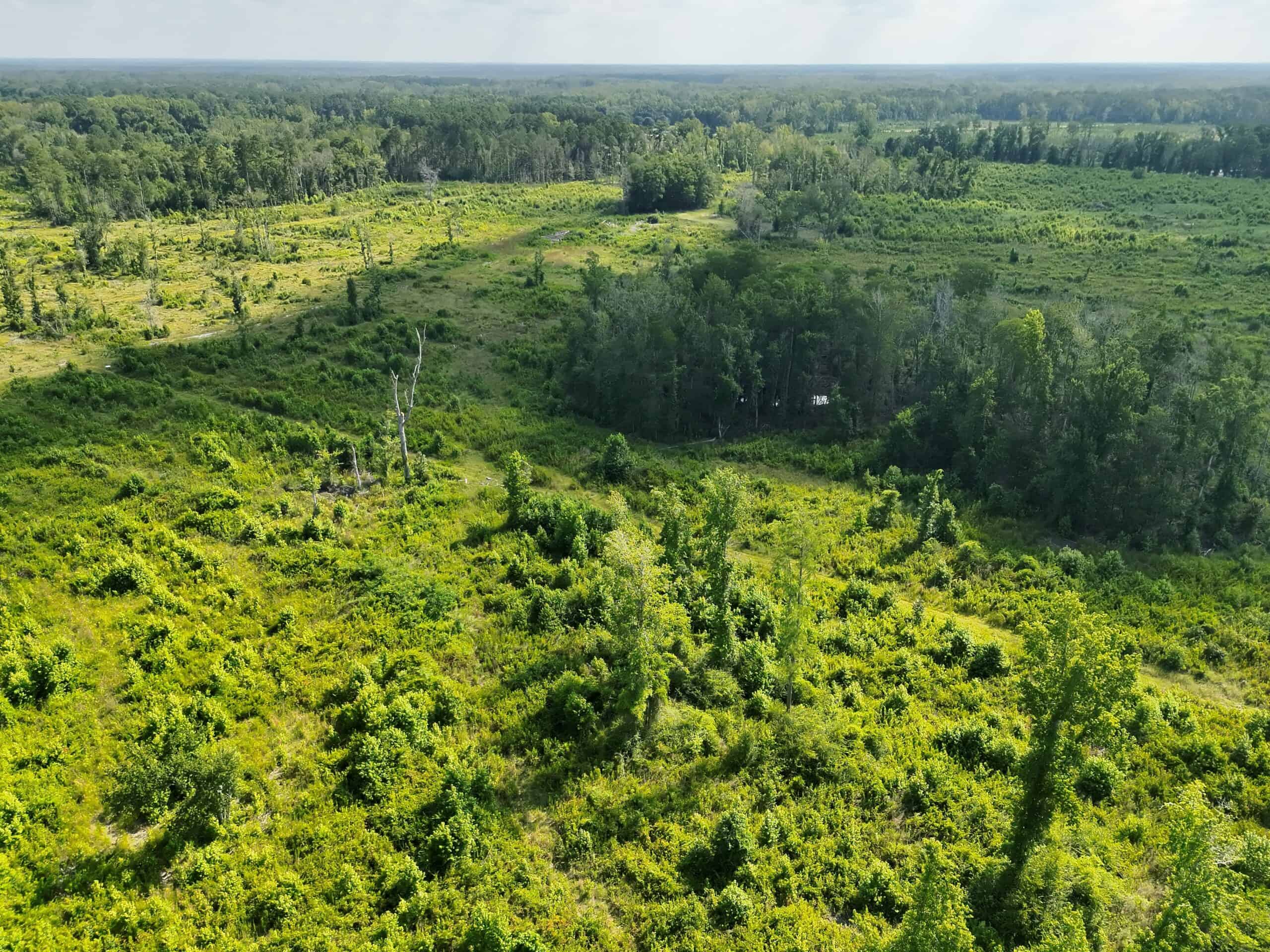 88-acre parcel on Hunter’s Chapel