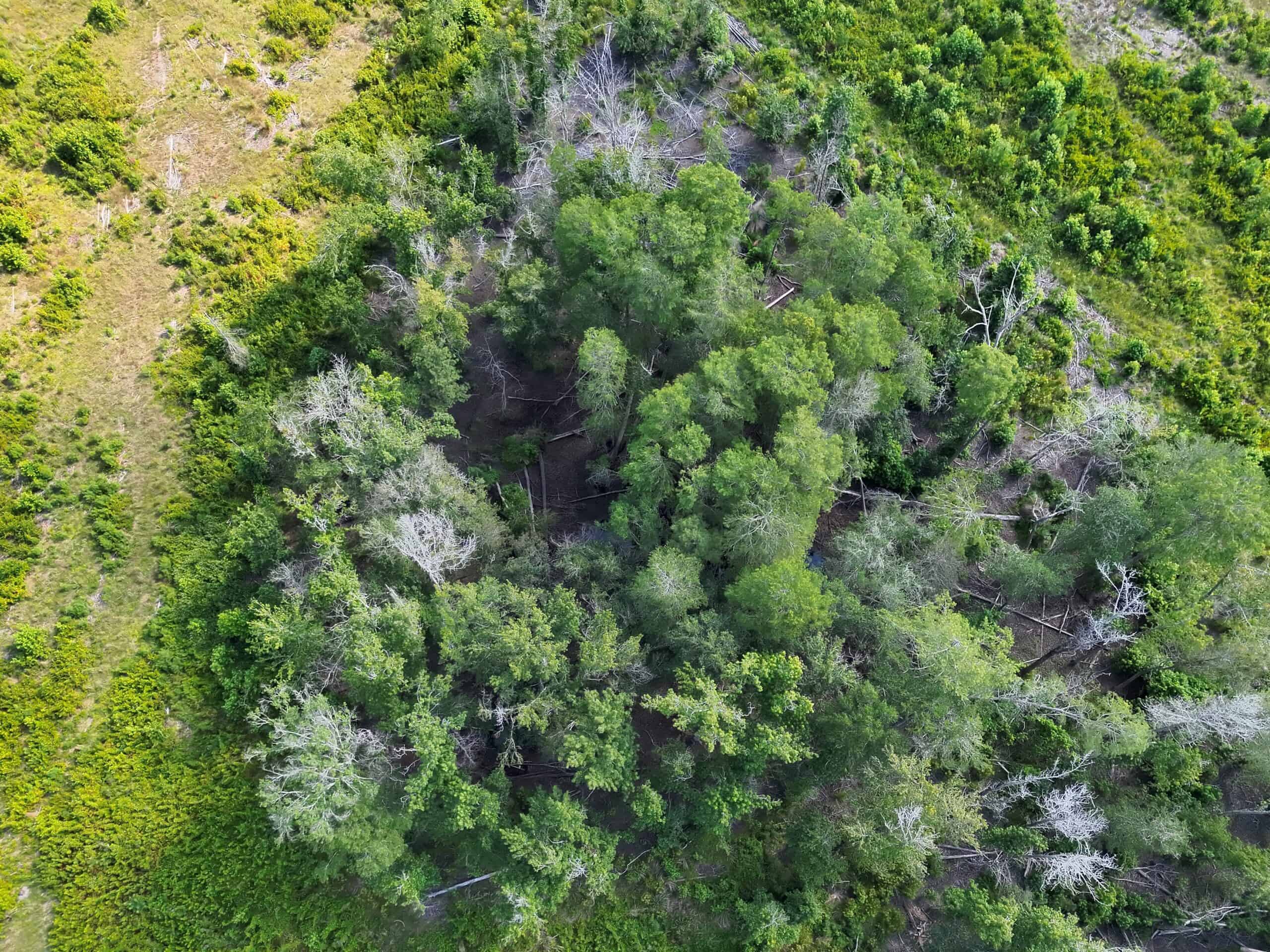 88-acre parcel on Hunter’s Chapel