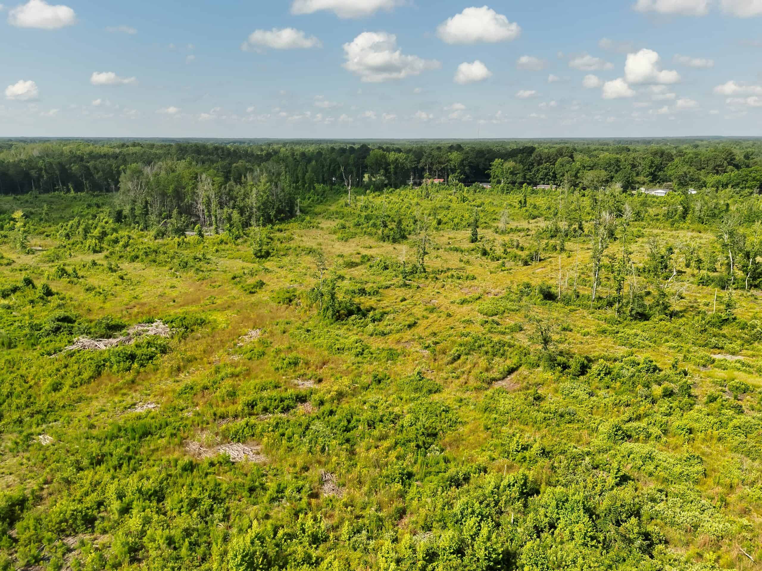 88-acre parcel on Hunter’s Chapel