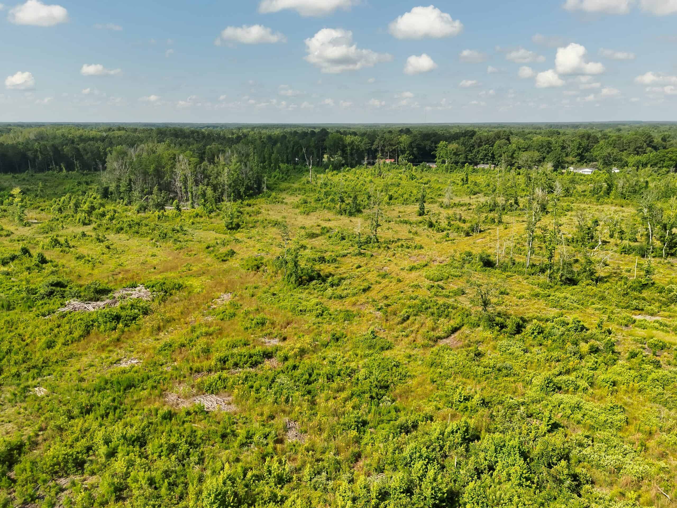 88-acre parcel on Hunter’s Chapel