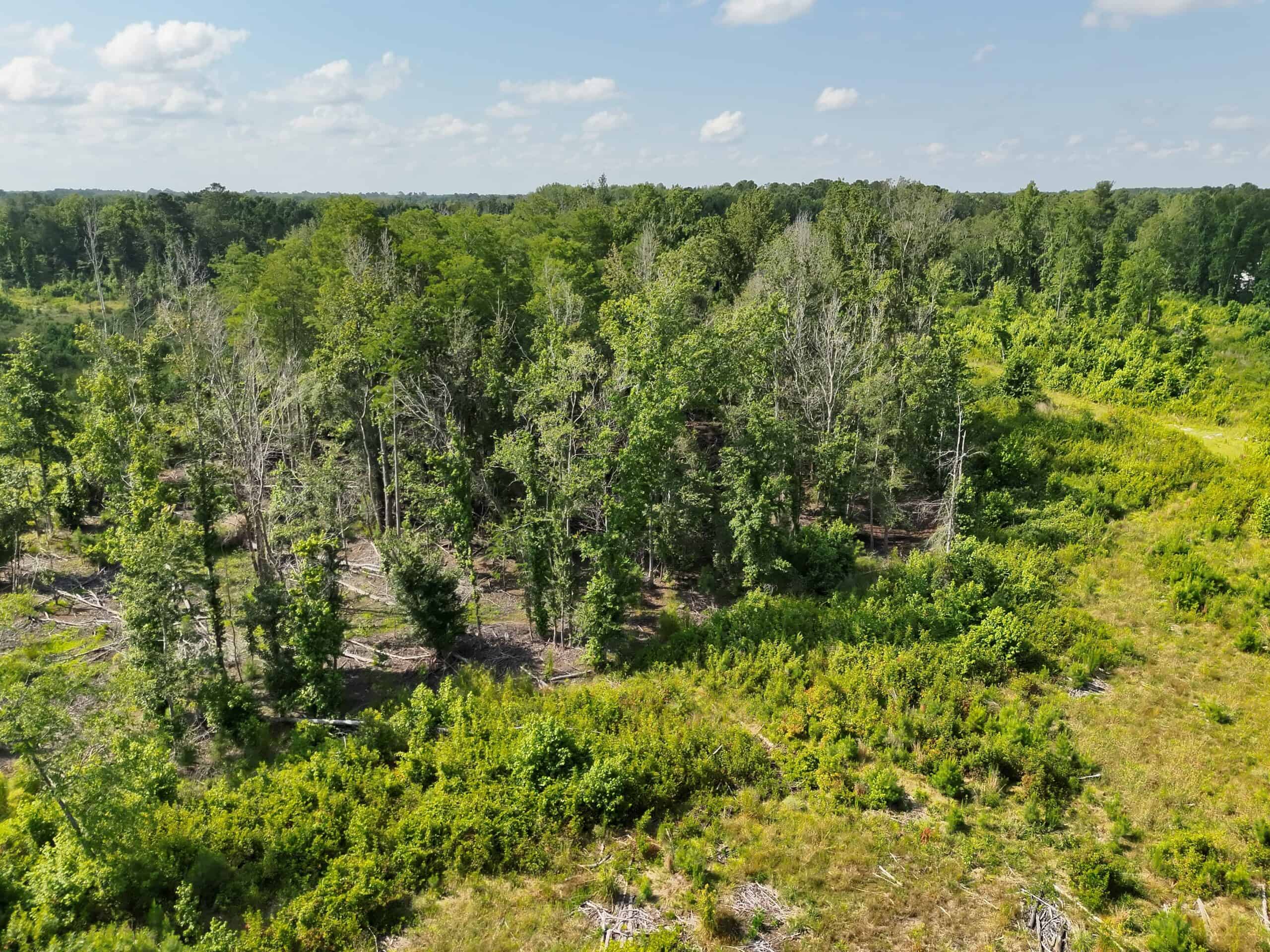 88-acre parcel on Hunter’s Chapel