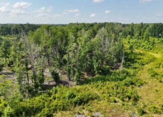 88-acre parcel on Hunter’s Chapel