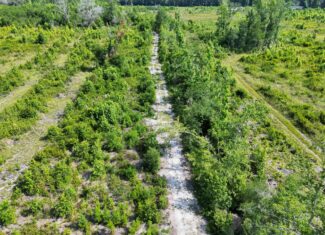 88-acre parcel on Hunter’s Chapel