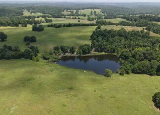 128-Acre Hunting & Recreational Property for Sale in the Missouri Ozarks