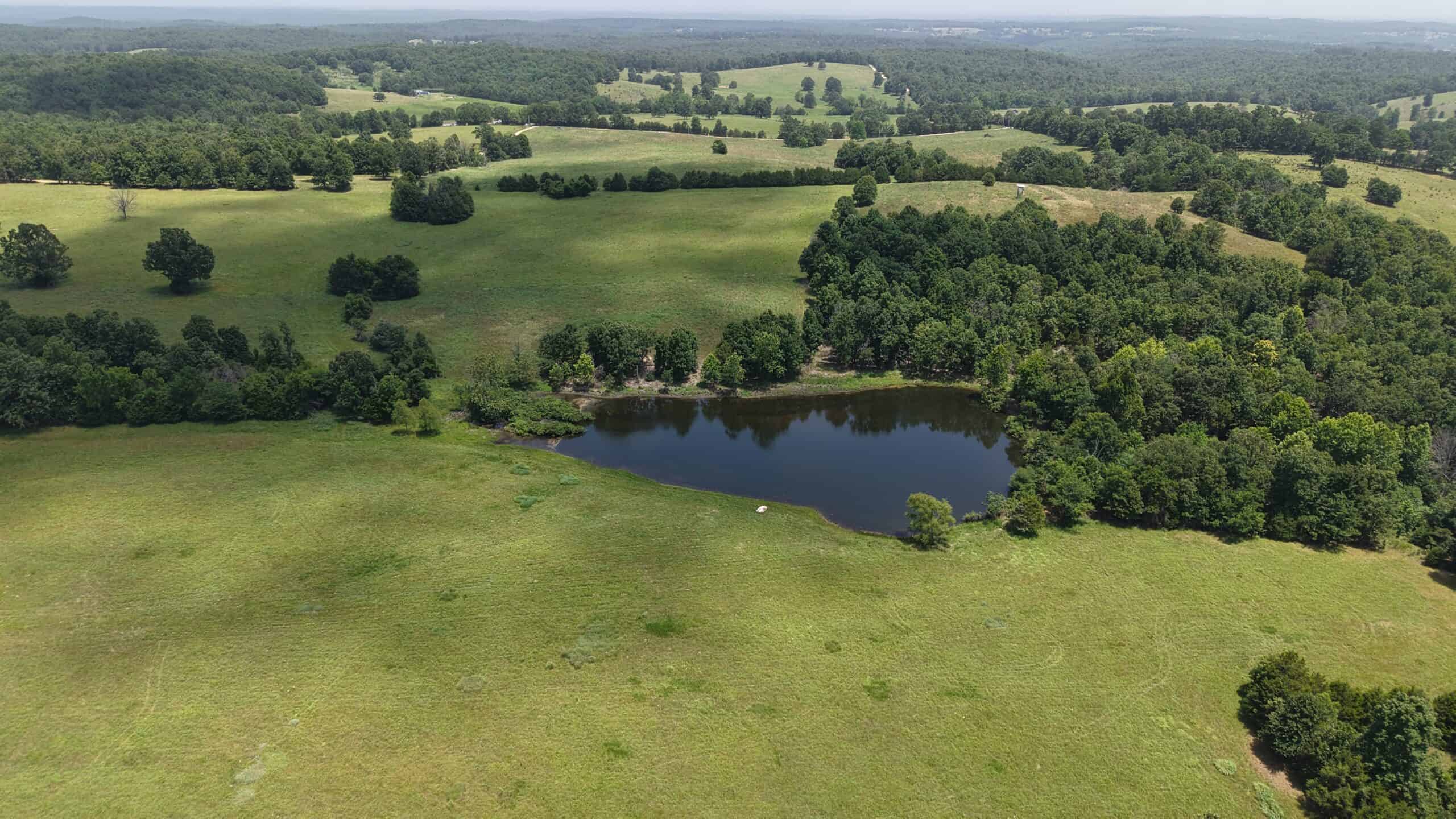 128-Acre Hunting & Recreational Property for Sale in the Missouri Ozarks