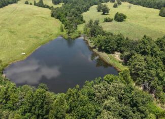 128-Acre Hunting & Recreational Property for Sale in the Missouri Ozarks
